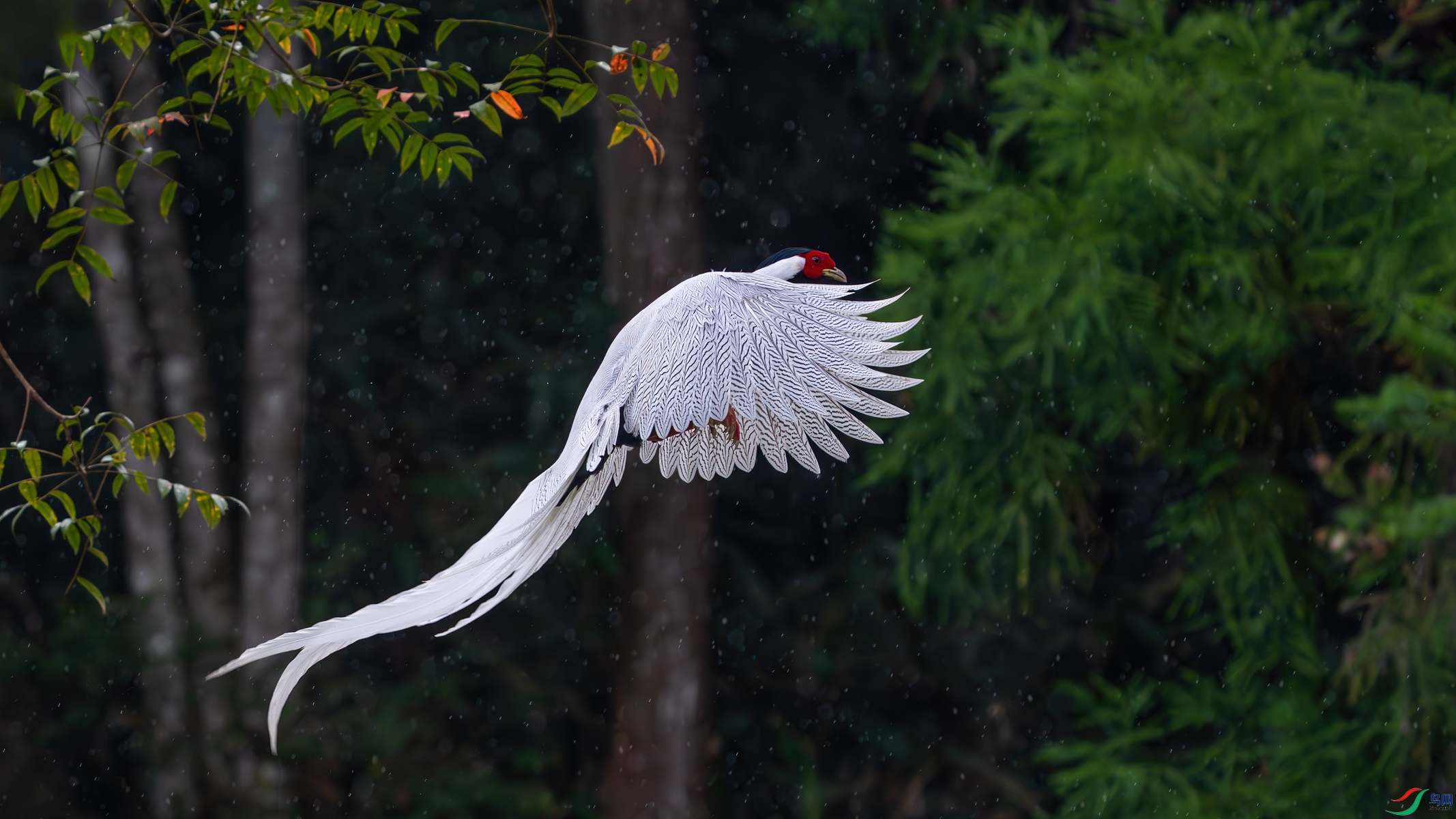 _DSC0028 ����_����.jpg