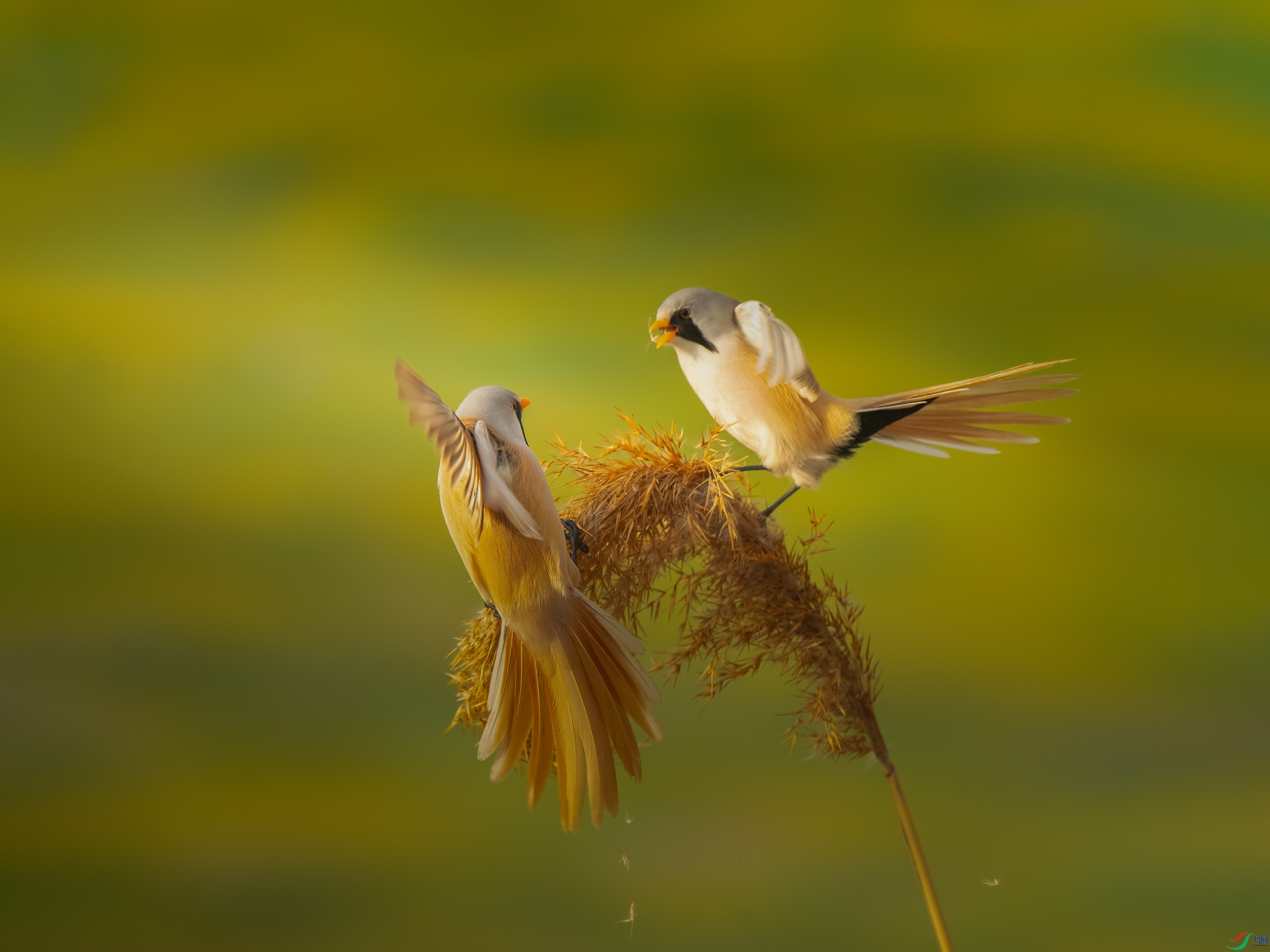 ����ȸ (2).jpg