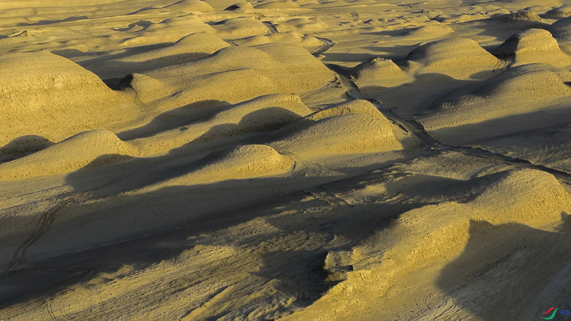 DJI_20250701071420_0013_D .jpg