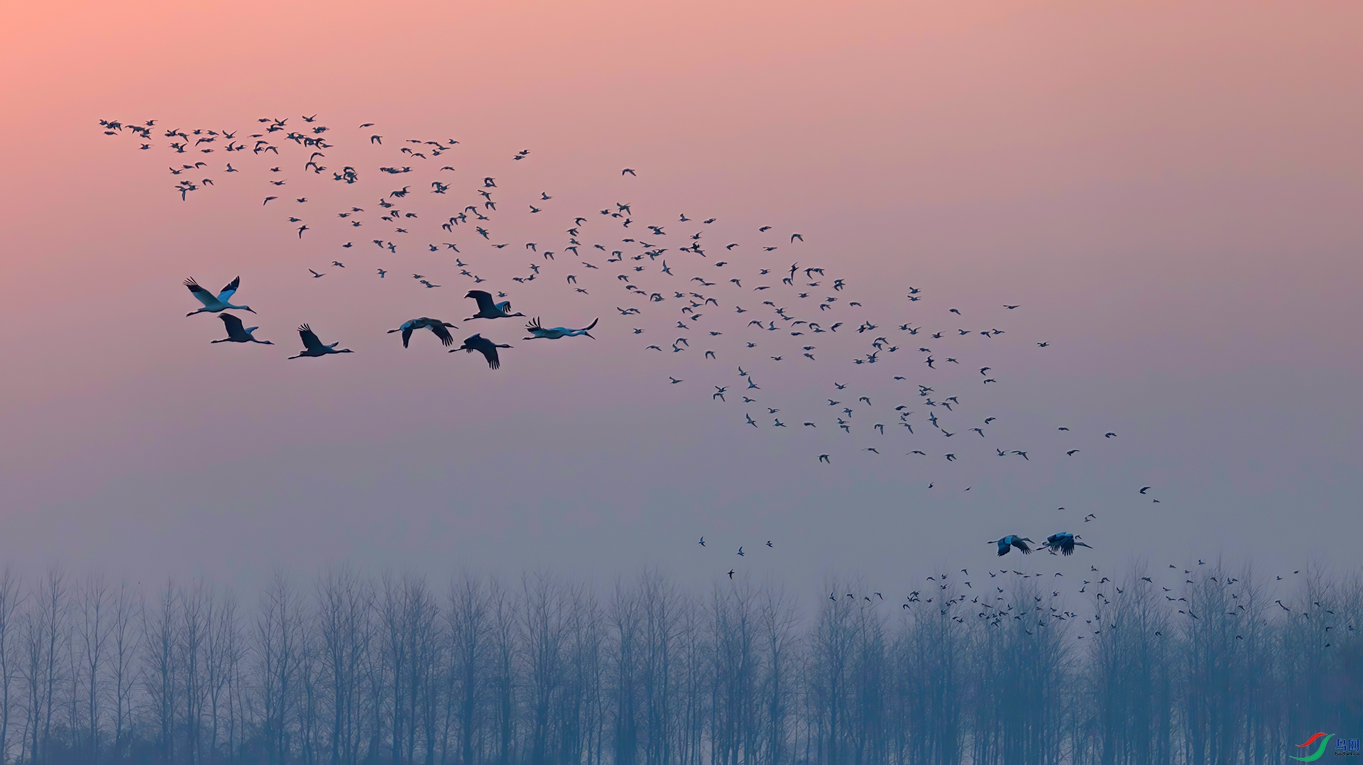 _60A7826-----33  .jpg