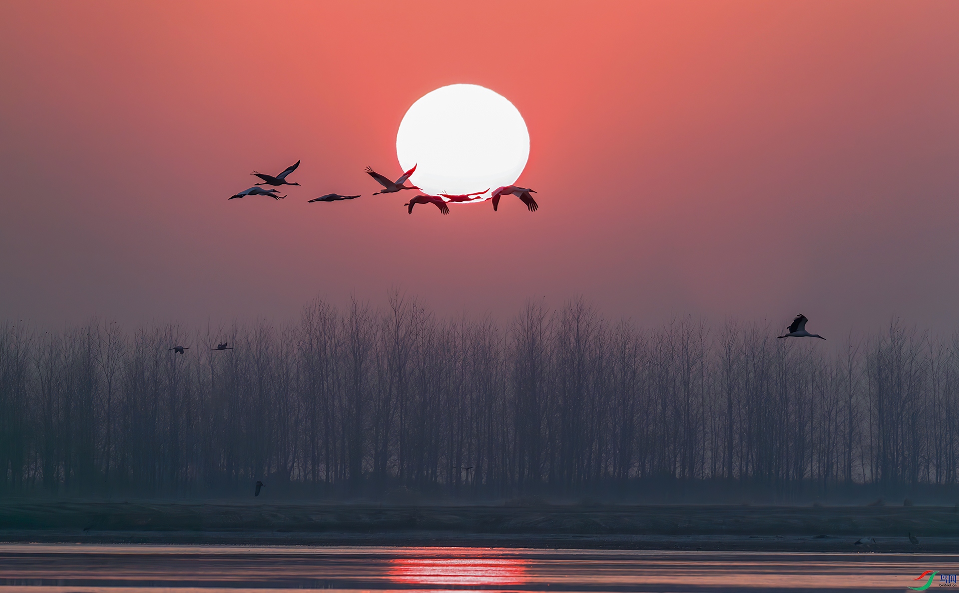 _60A7698----33  .jpg