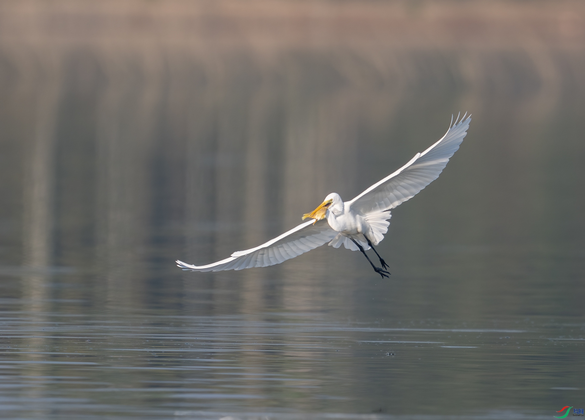DSC_1134-1.jpg