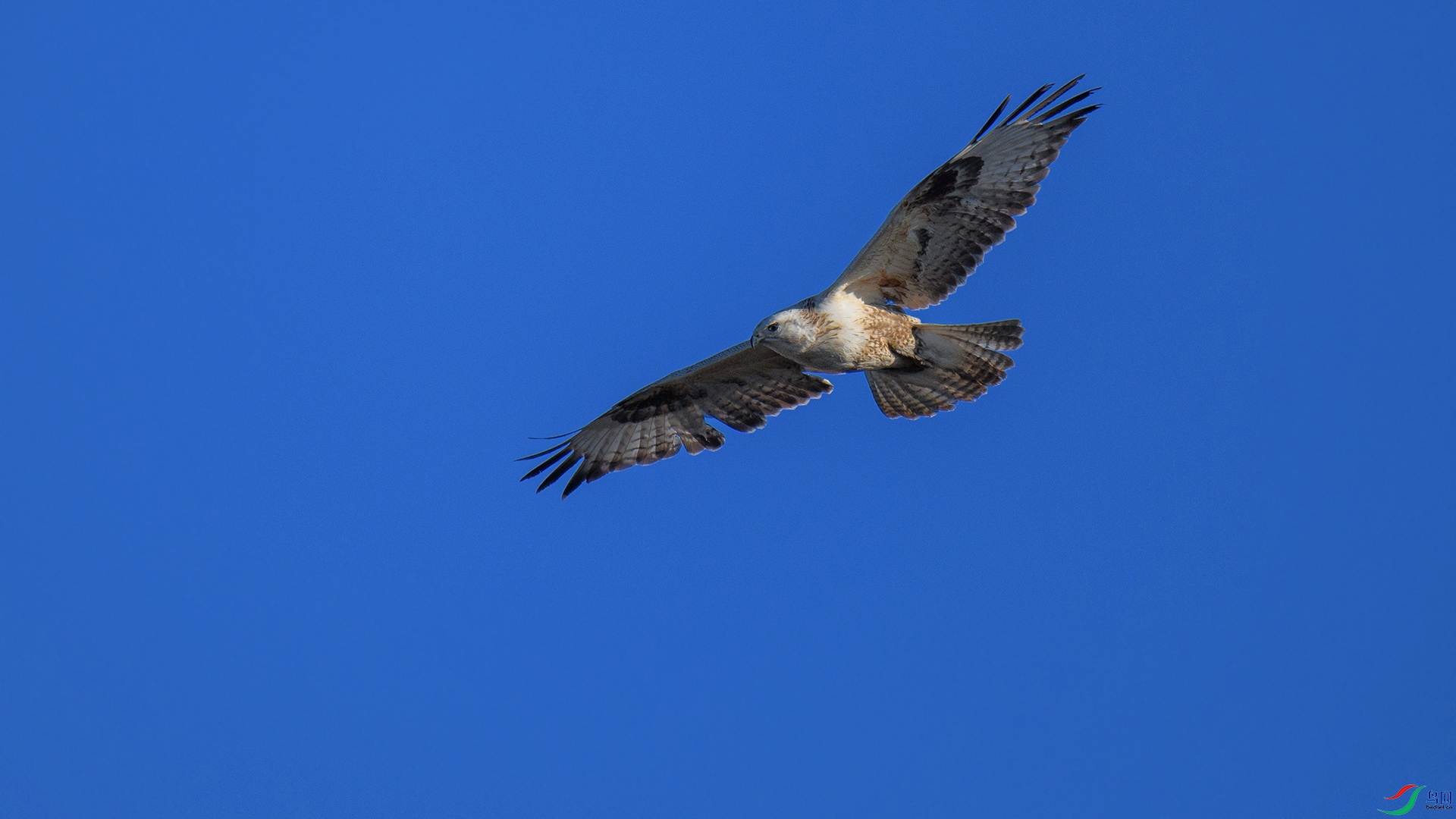 DSC_7983-2-20250119��.jpg