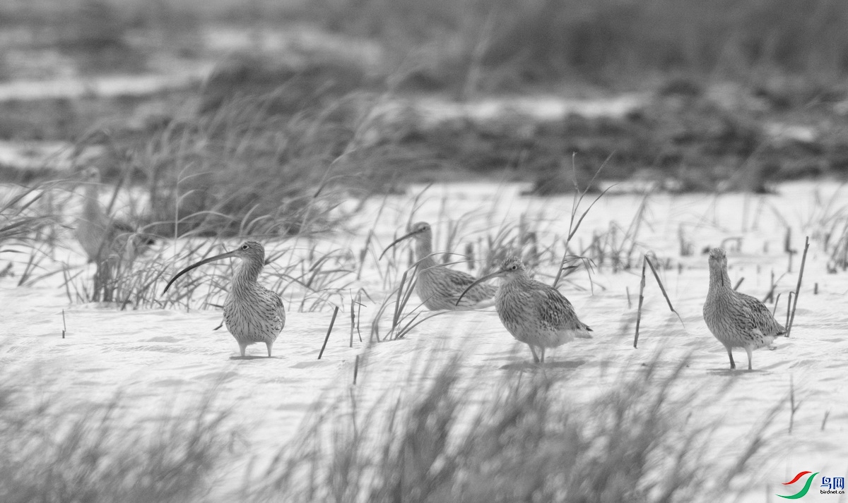 _DSC5032zx_������С - ���� (2).jpg