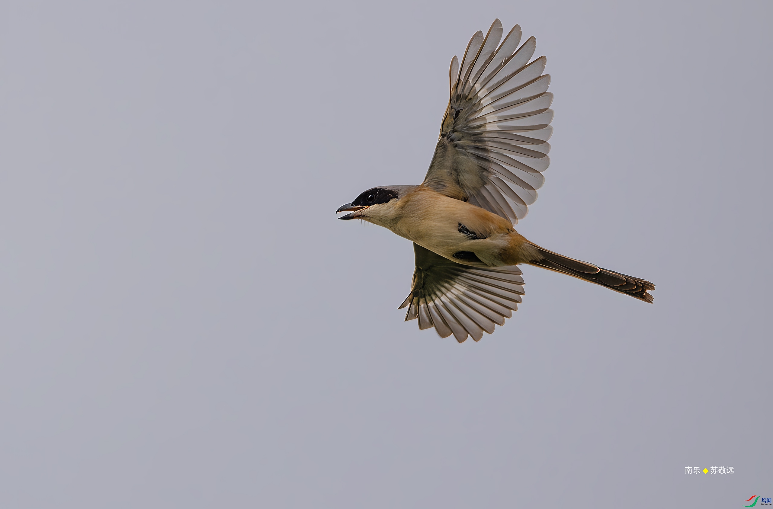 _DSC2212-DxO_С.jpg
