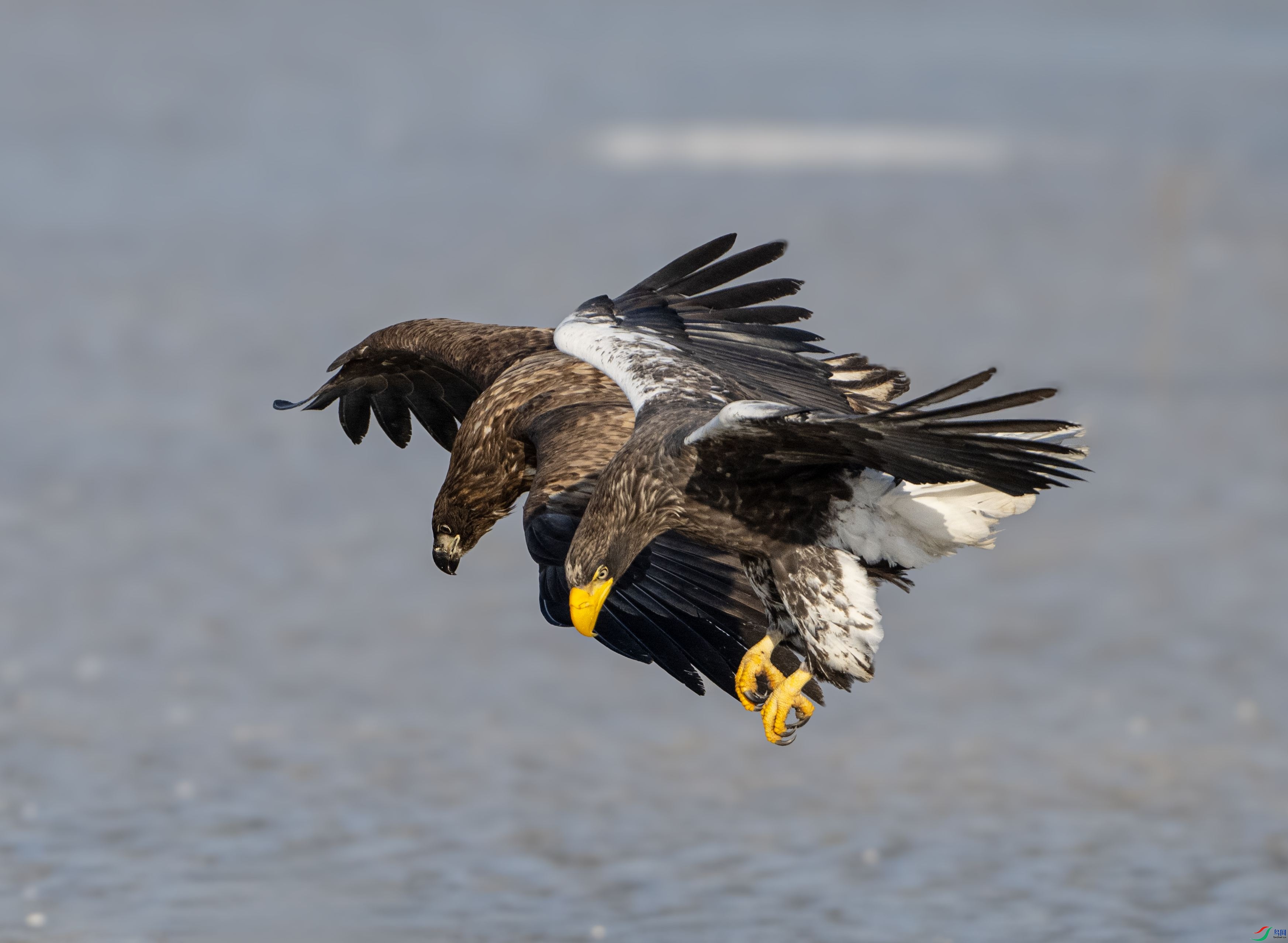 1DS_3664 ����_����.jpg