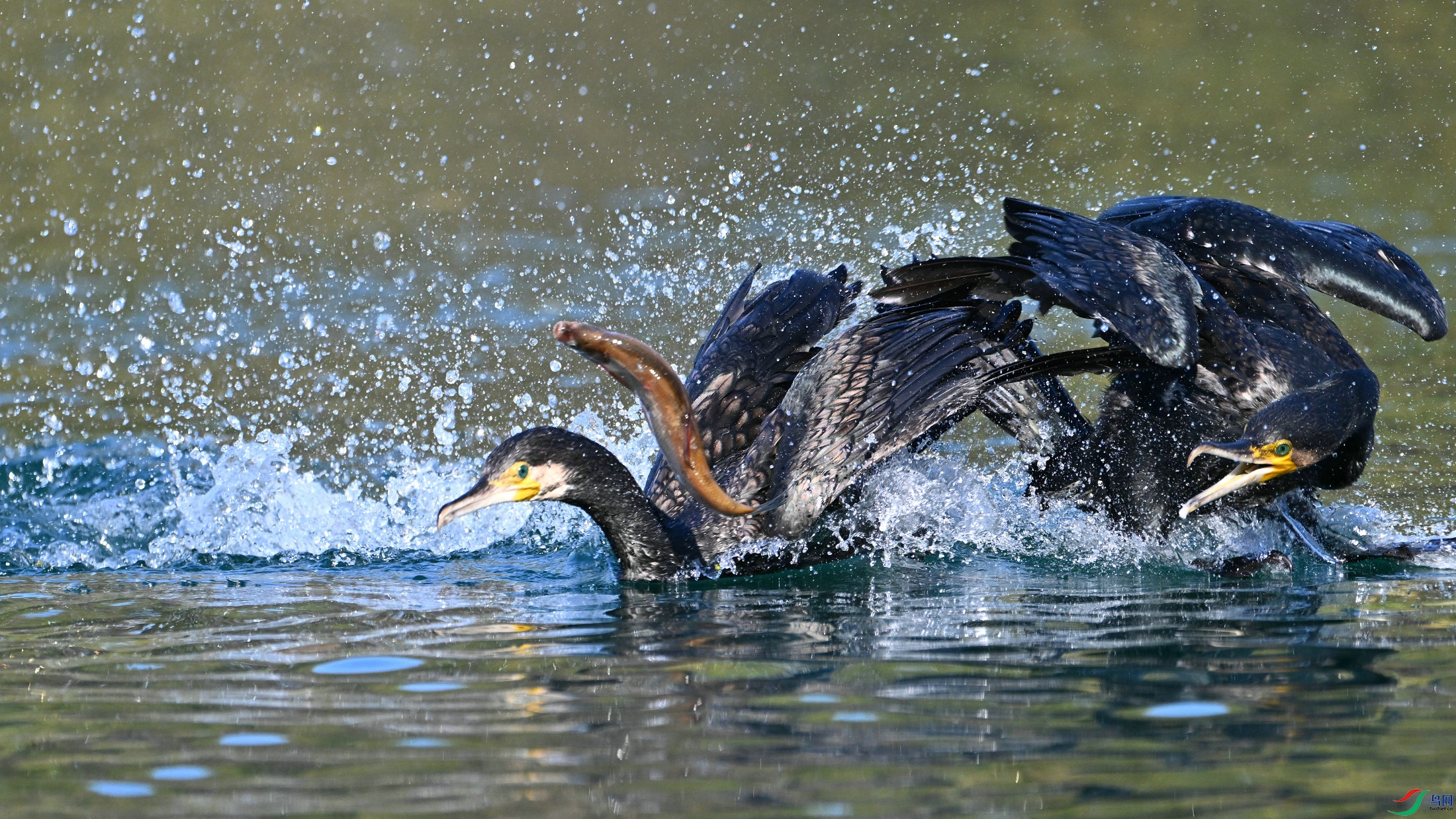 DSC_8859.JPG