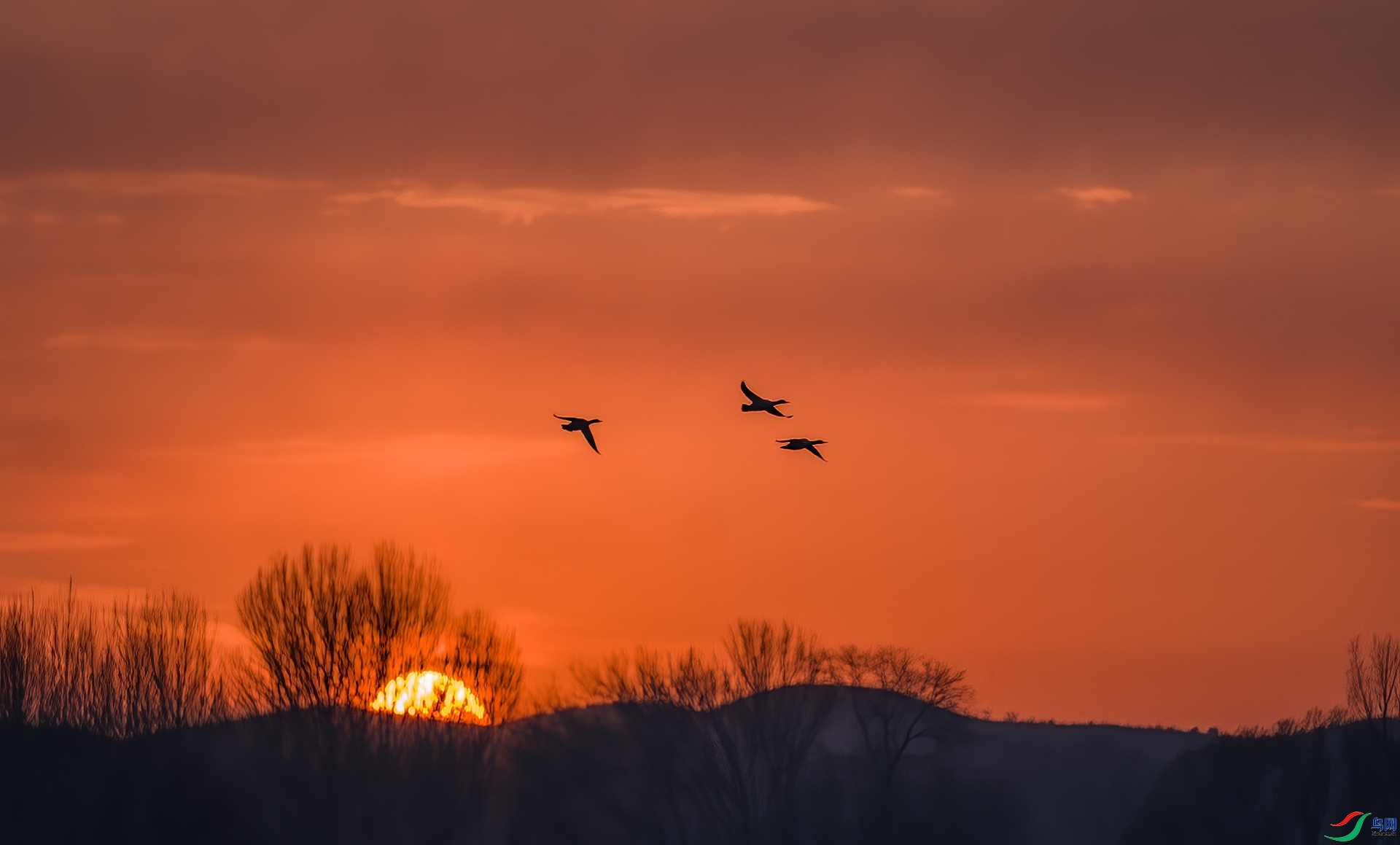 2.7������ʦ��Ʒ   �ճ�������ף���ٻ����������.jpg