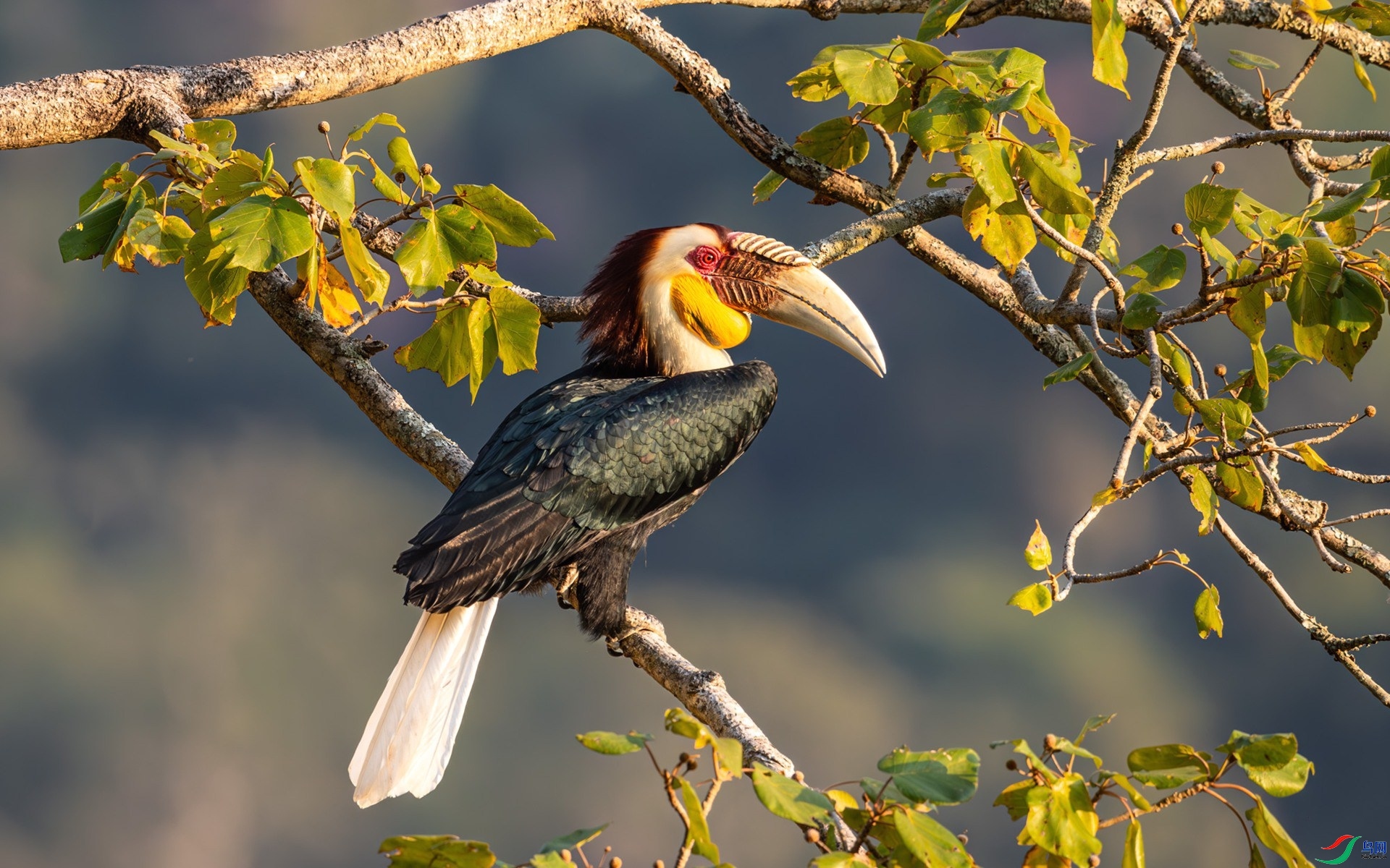 2.7BJ������ʦ��Ʒ   ����Ϭ�� ��ף���ٻ���Ӱʦ������.jpg