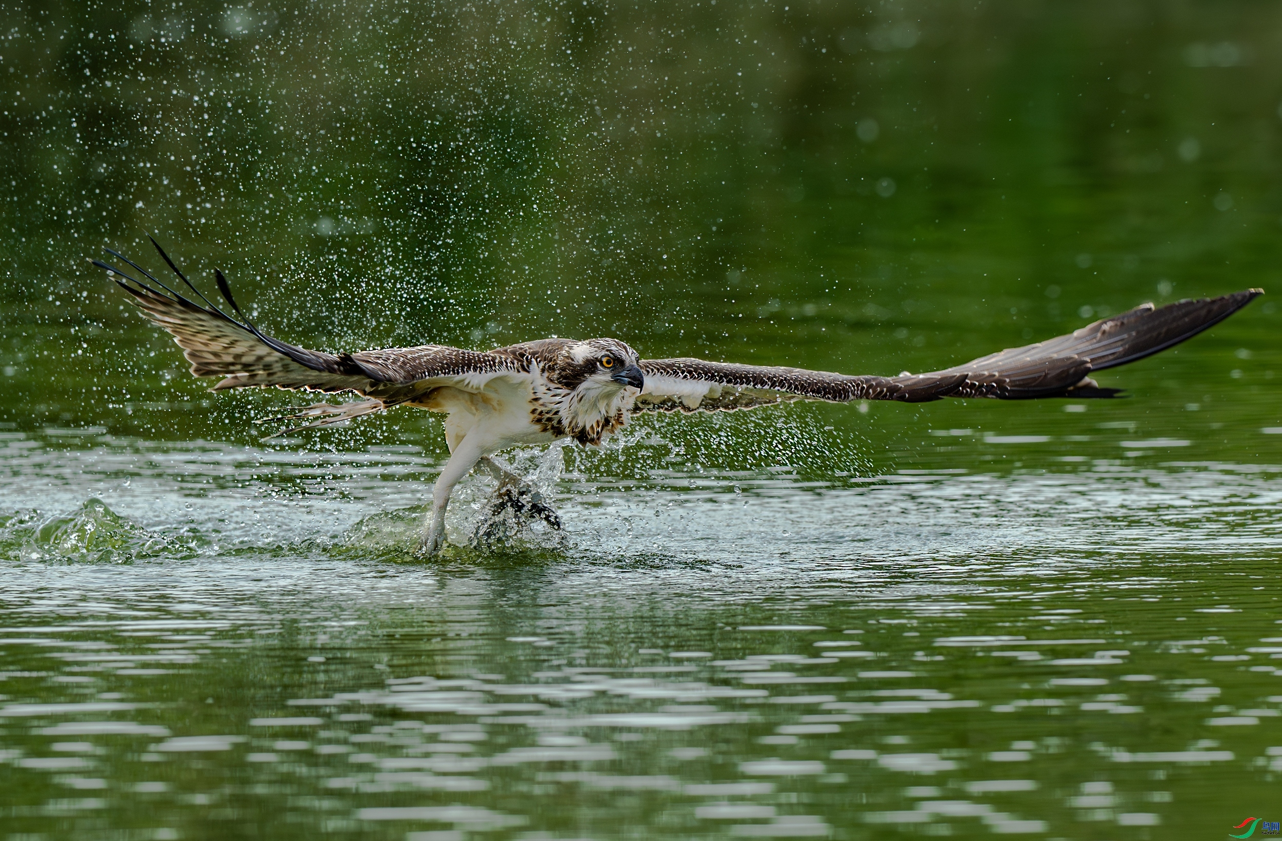 2.8���789��ʦ��Ʒ   ˲��Ķ��� ��ף���ٻ����������.jpg