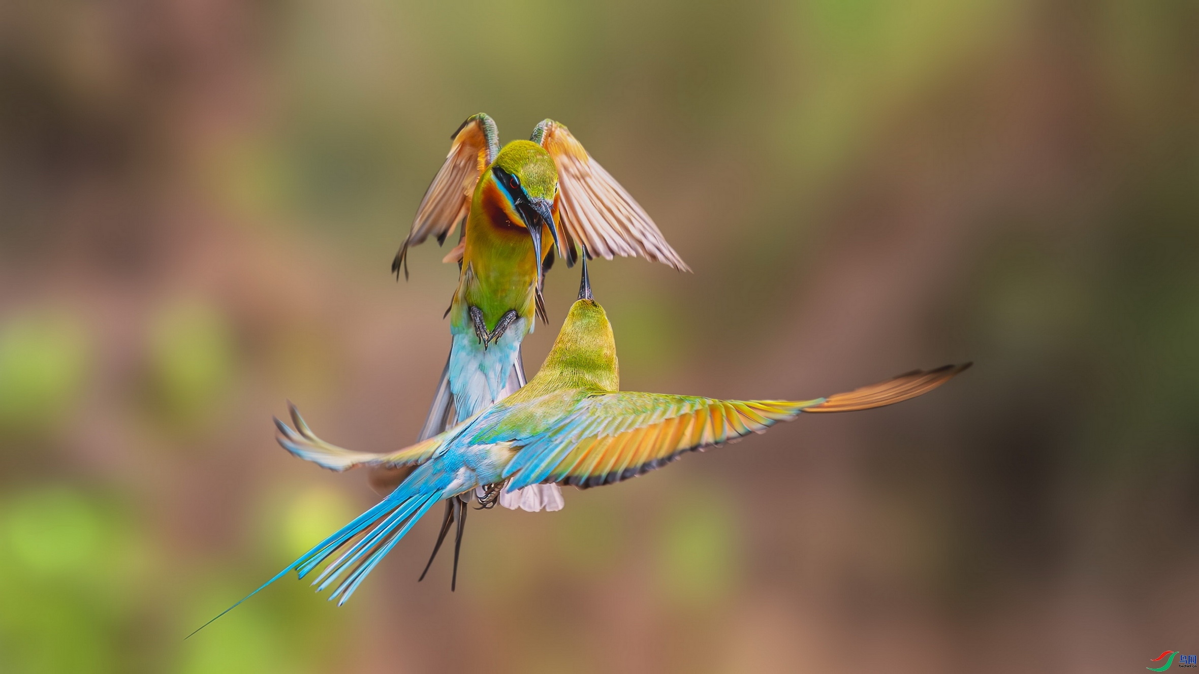 2.12��Ϻ��ʦ��Ʒ   ��ս ��ף���ٻ���Ӱʦ������.jpg