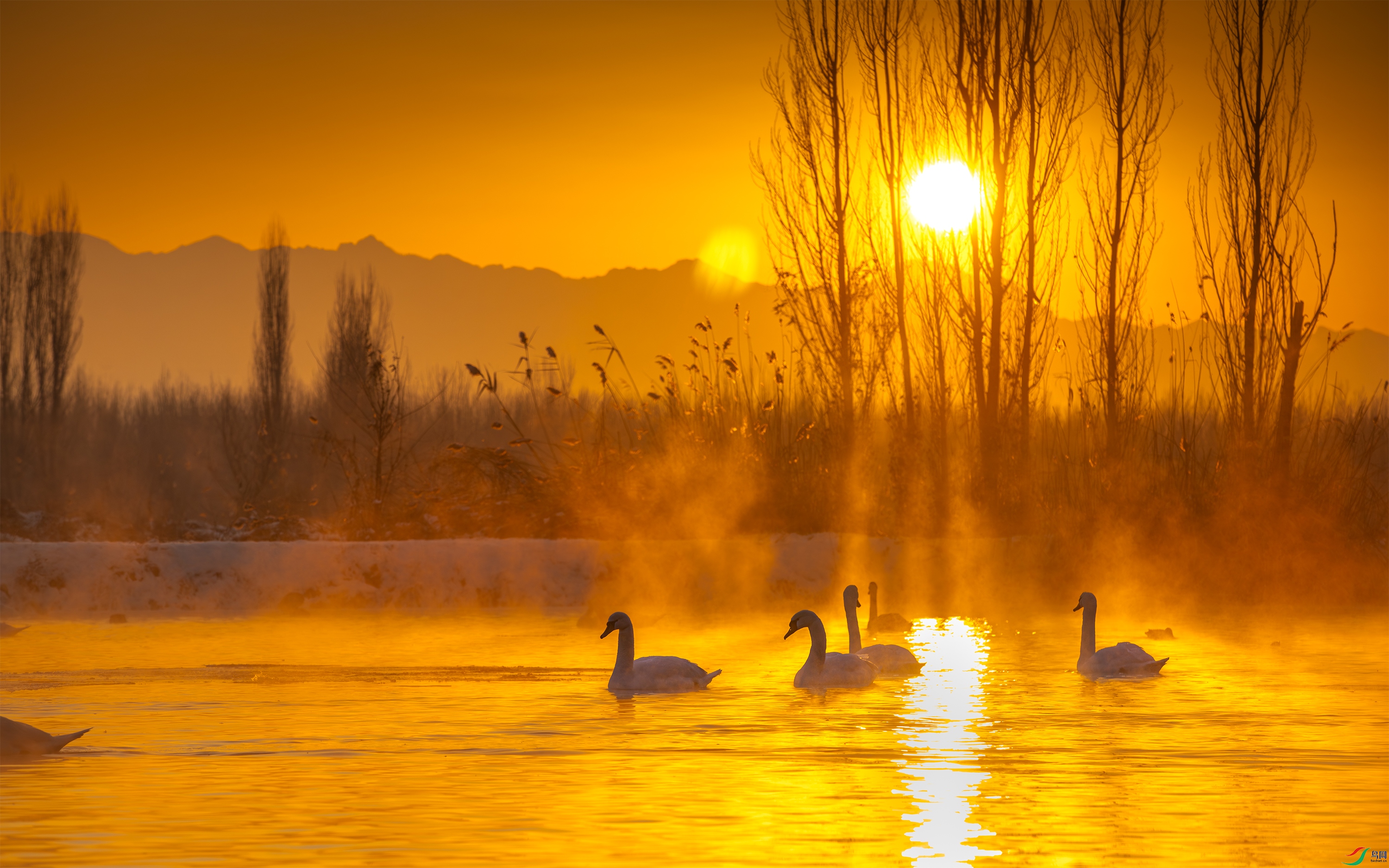 3S5A3833 ����.jpg