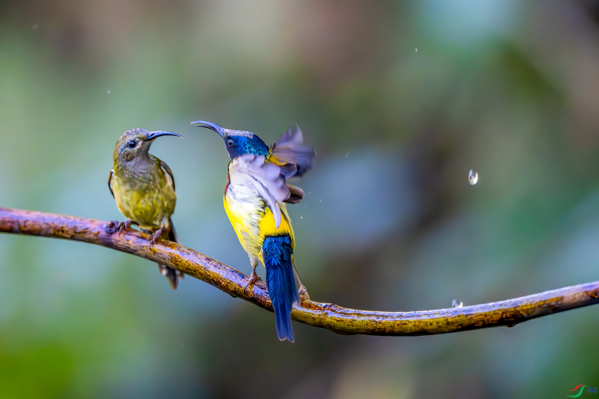 _DSC4511-����ǿ-NR-DeNoiseAI-denoise-gigapixel-width-4000px.jpg