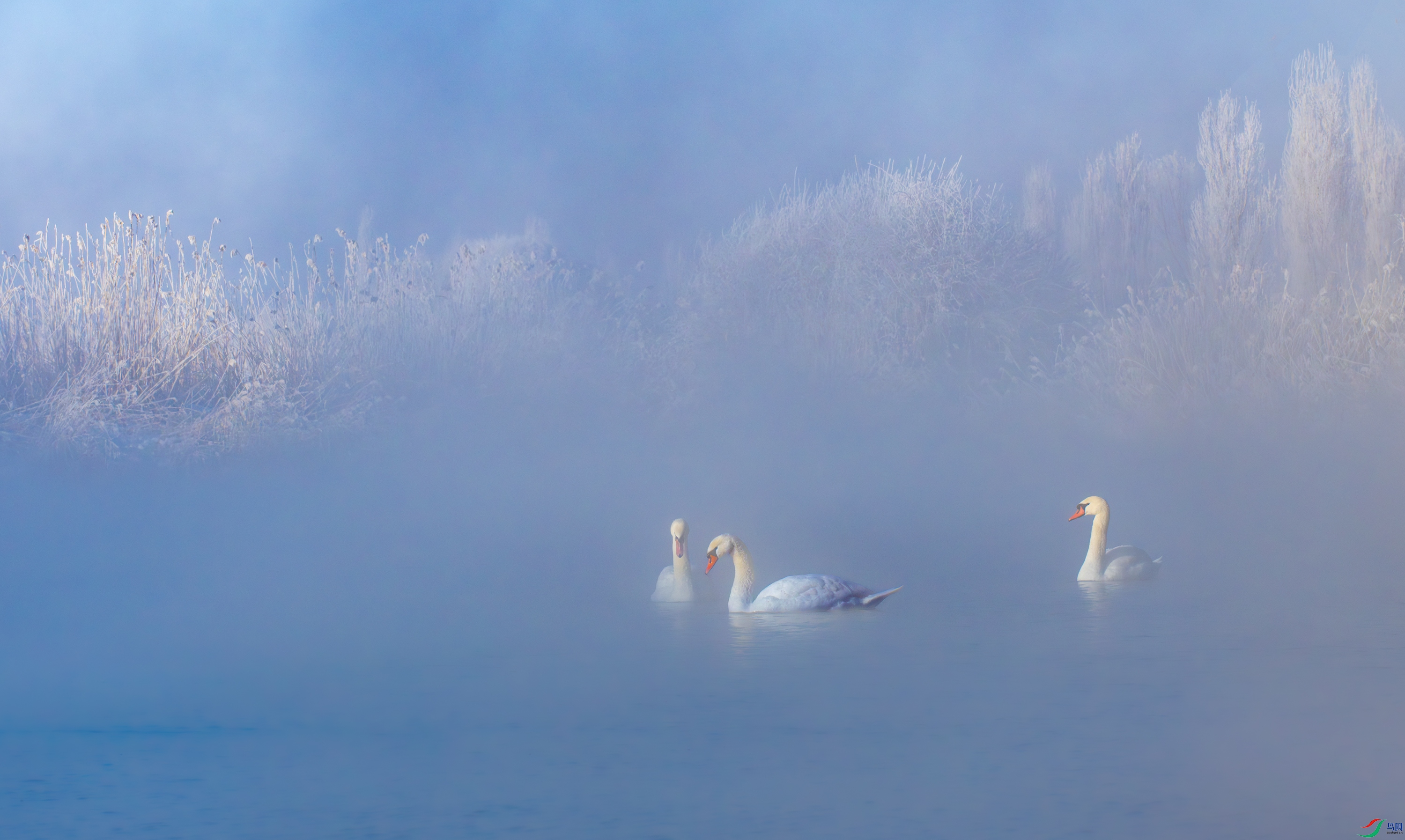 DSC_4719-11.jpg