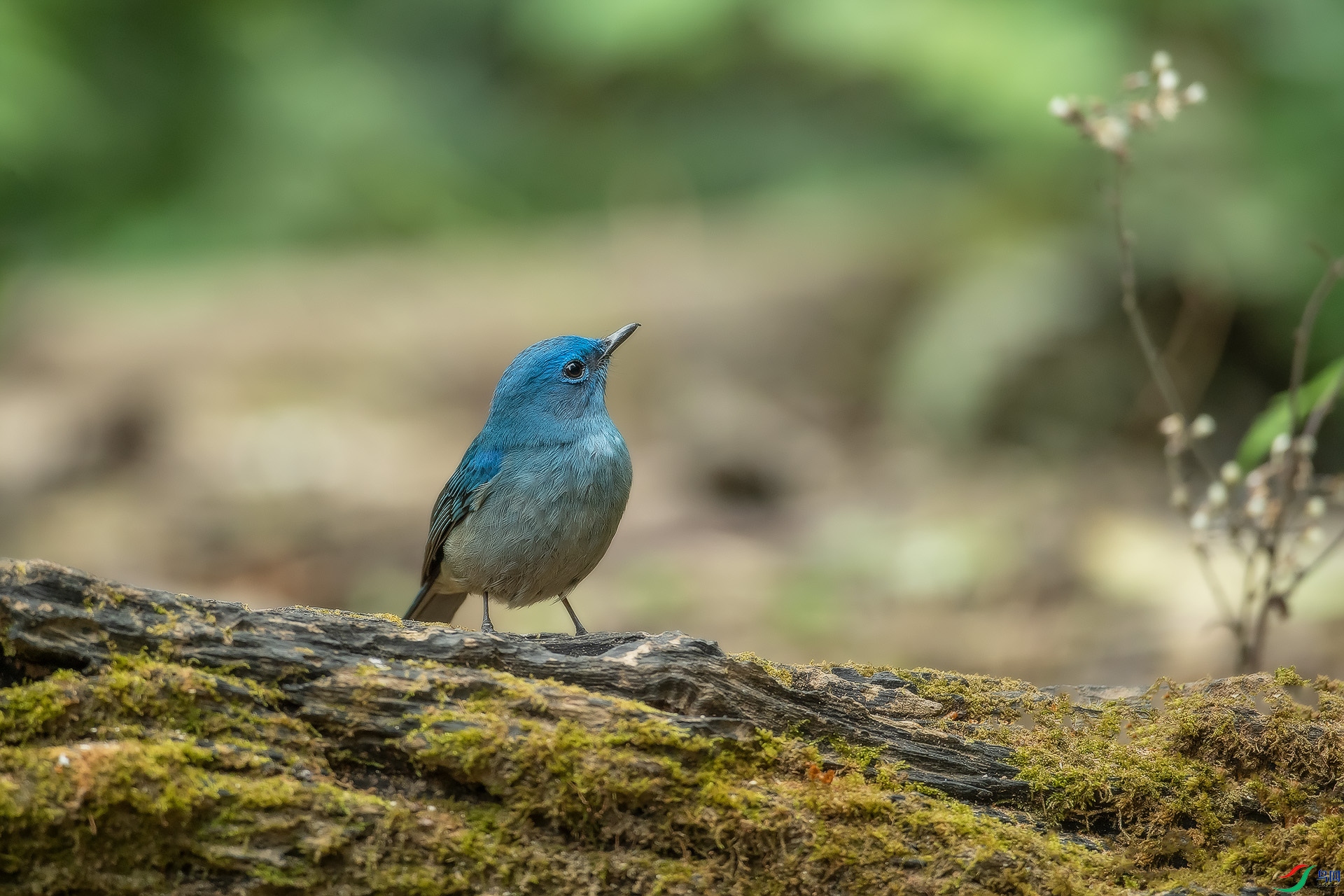 DSC_9592.jpg