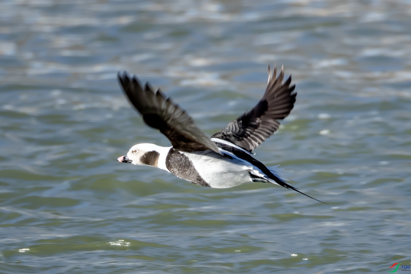 B26I0070 ��βѼOK.jpg