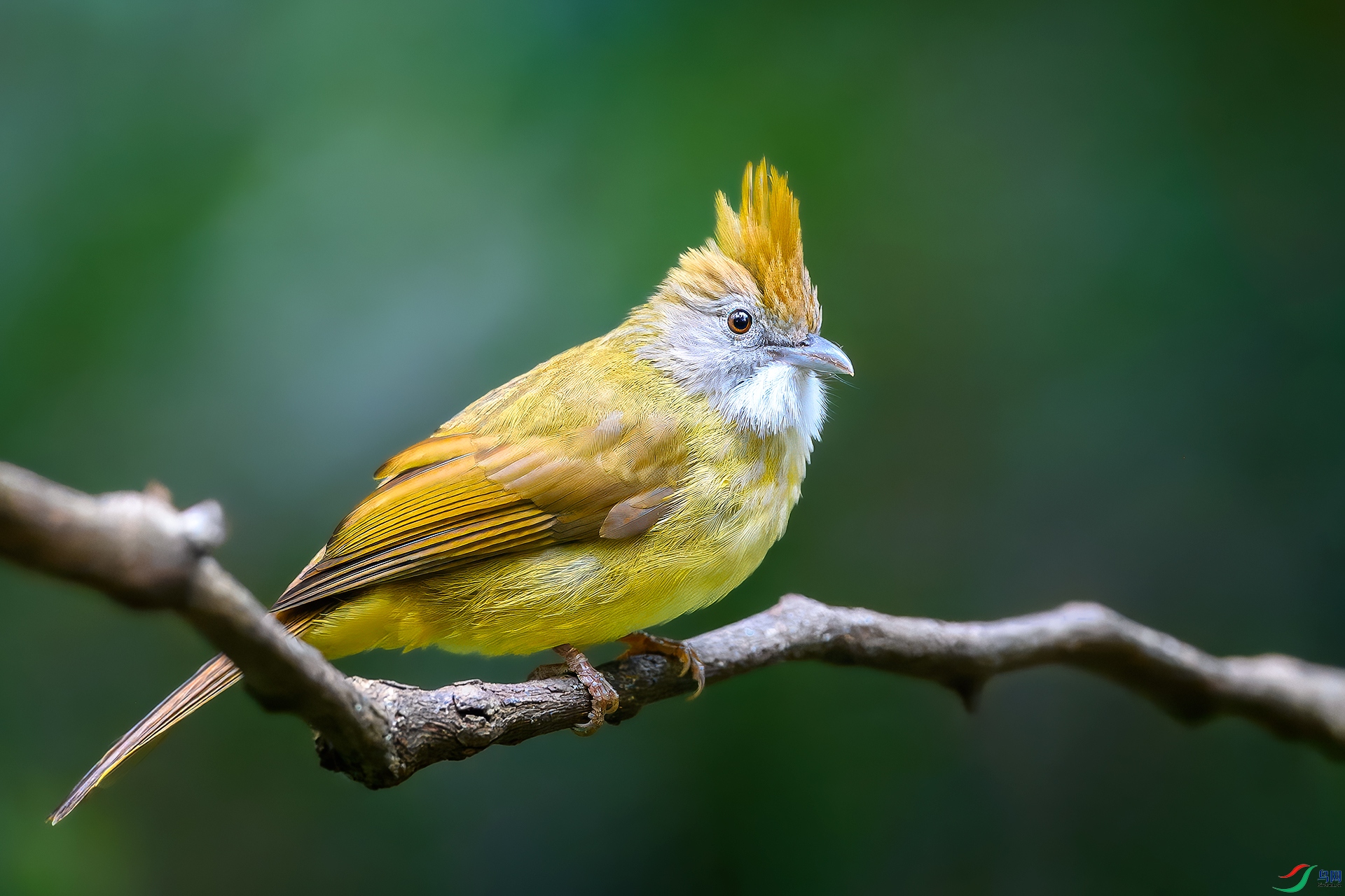 0_DSC2019-topaz-rawdenoise.jpg