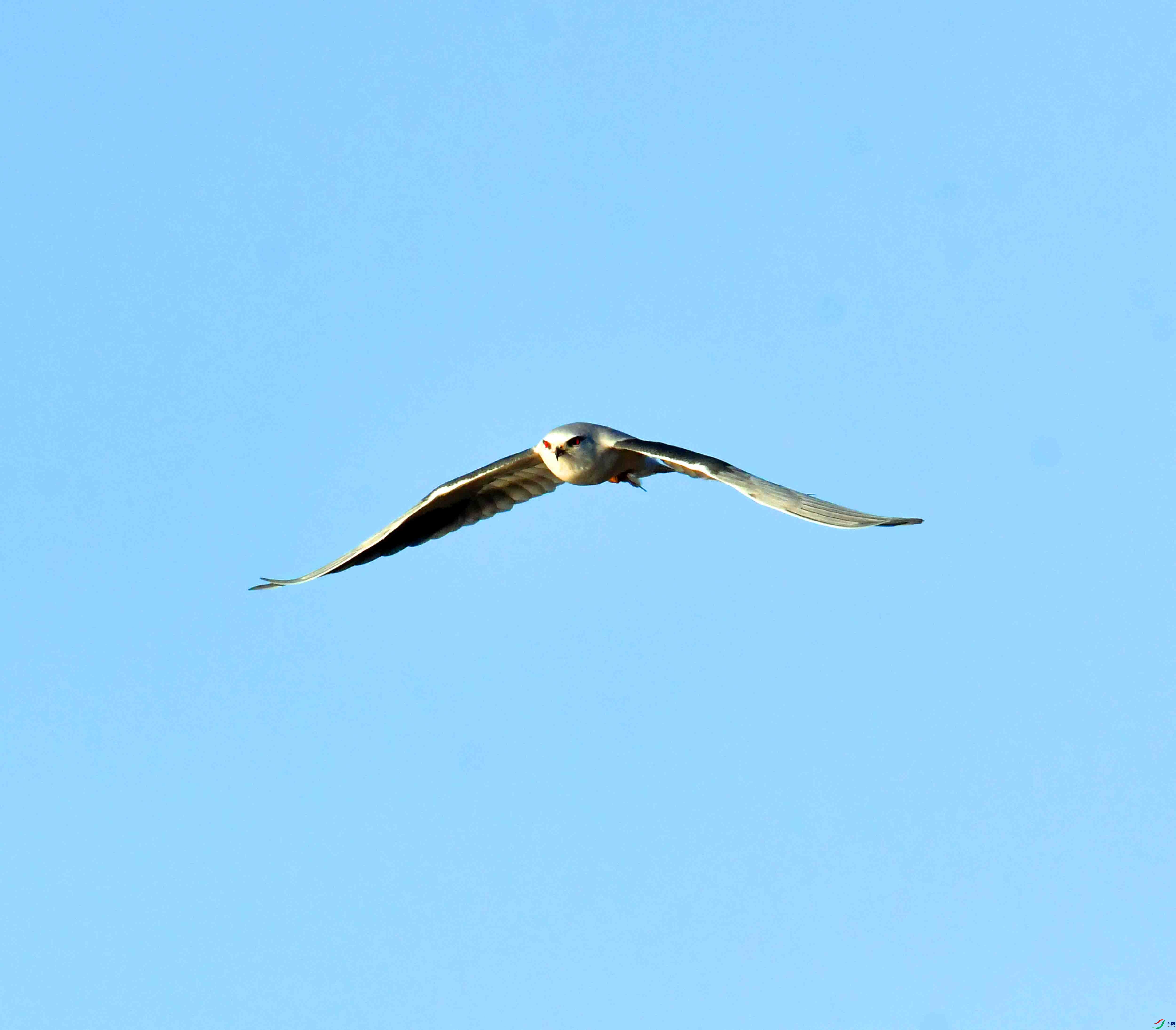 DSC_1577.JPG