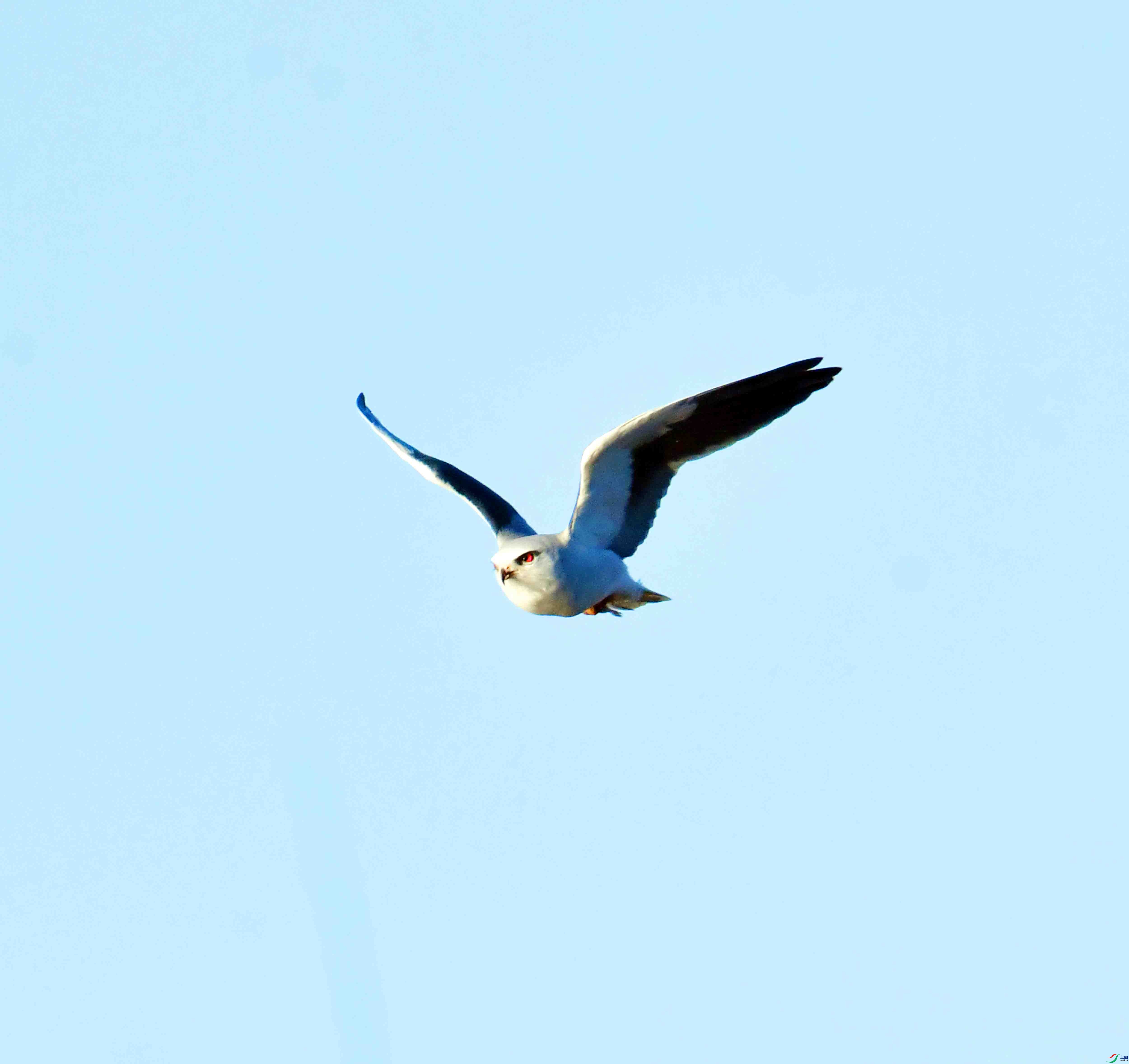 DSC_1578.JPG