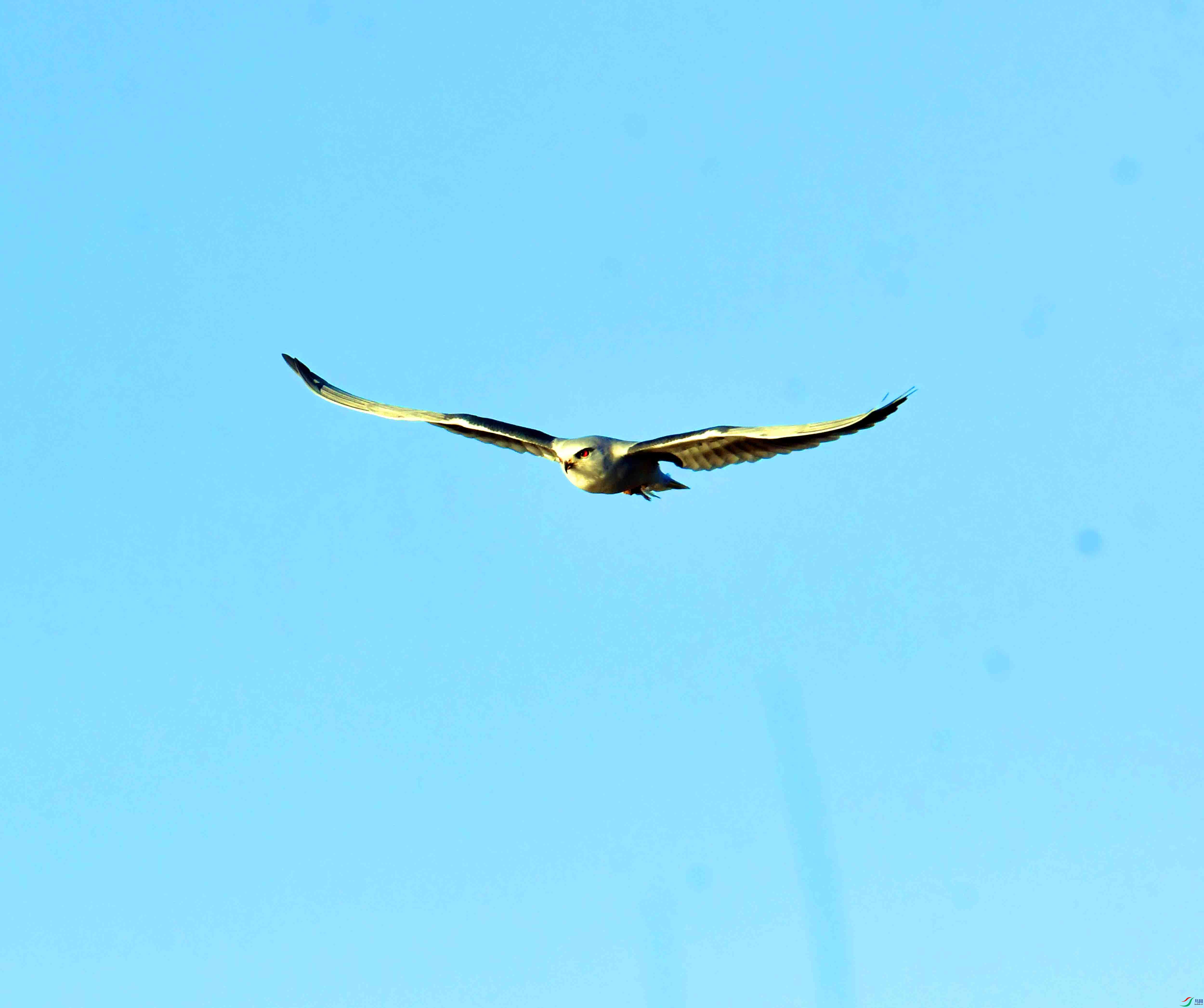 DSC_1579.JPG