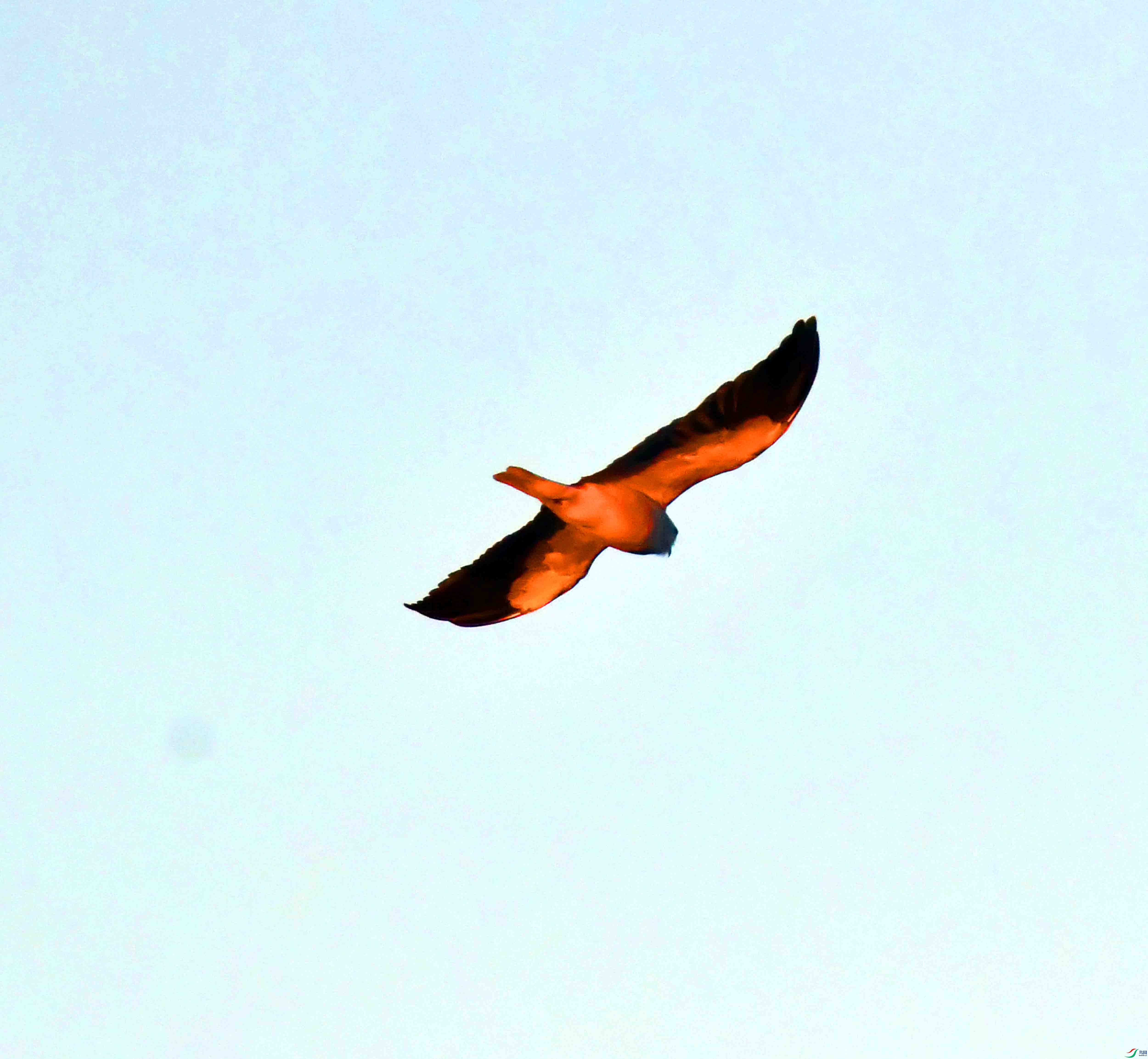 DSC_2872.JPG
