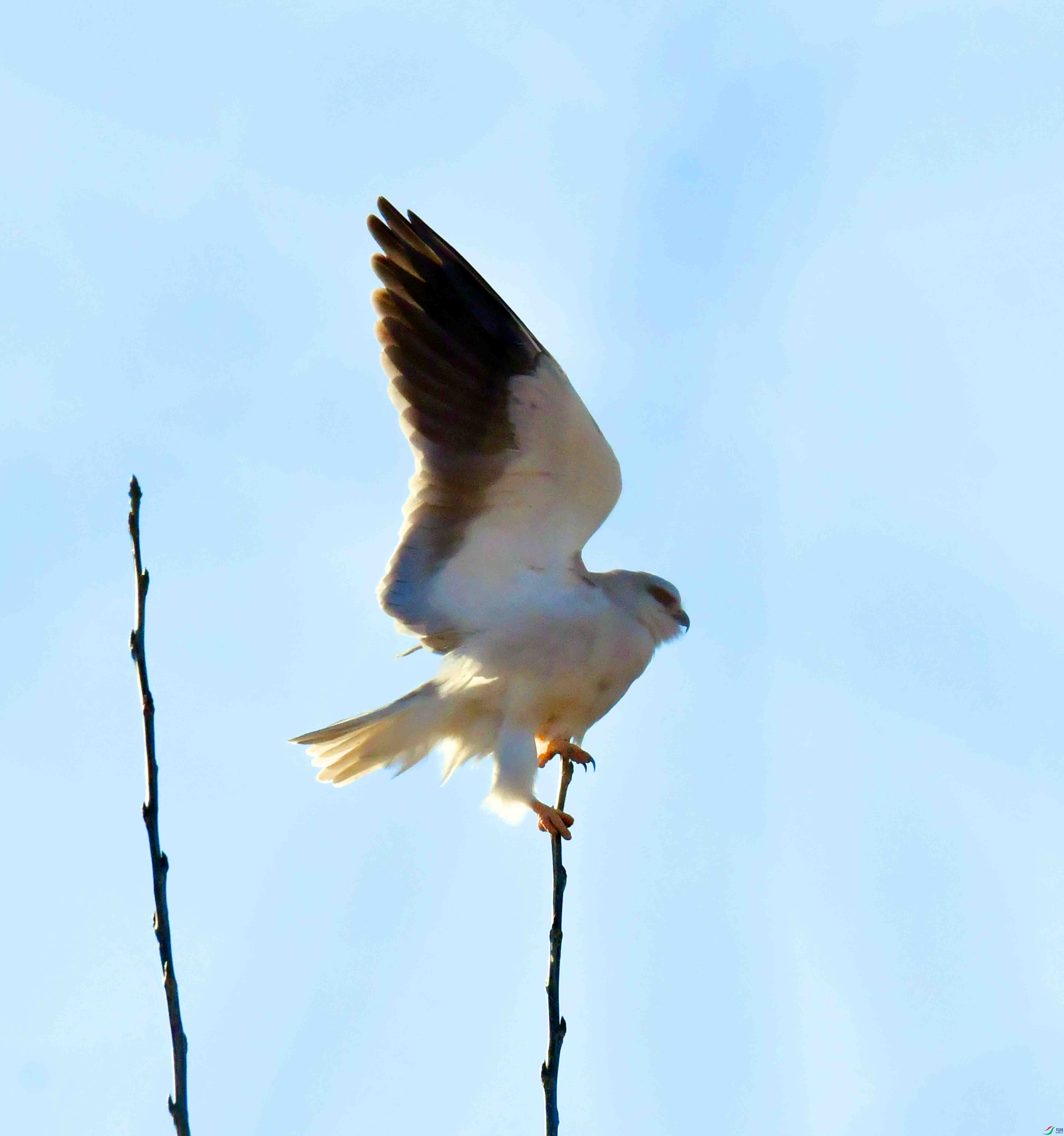 DSC_2948.JPG