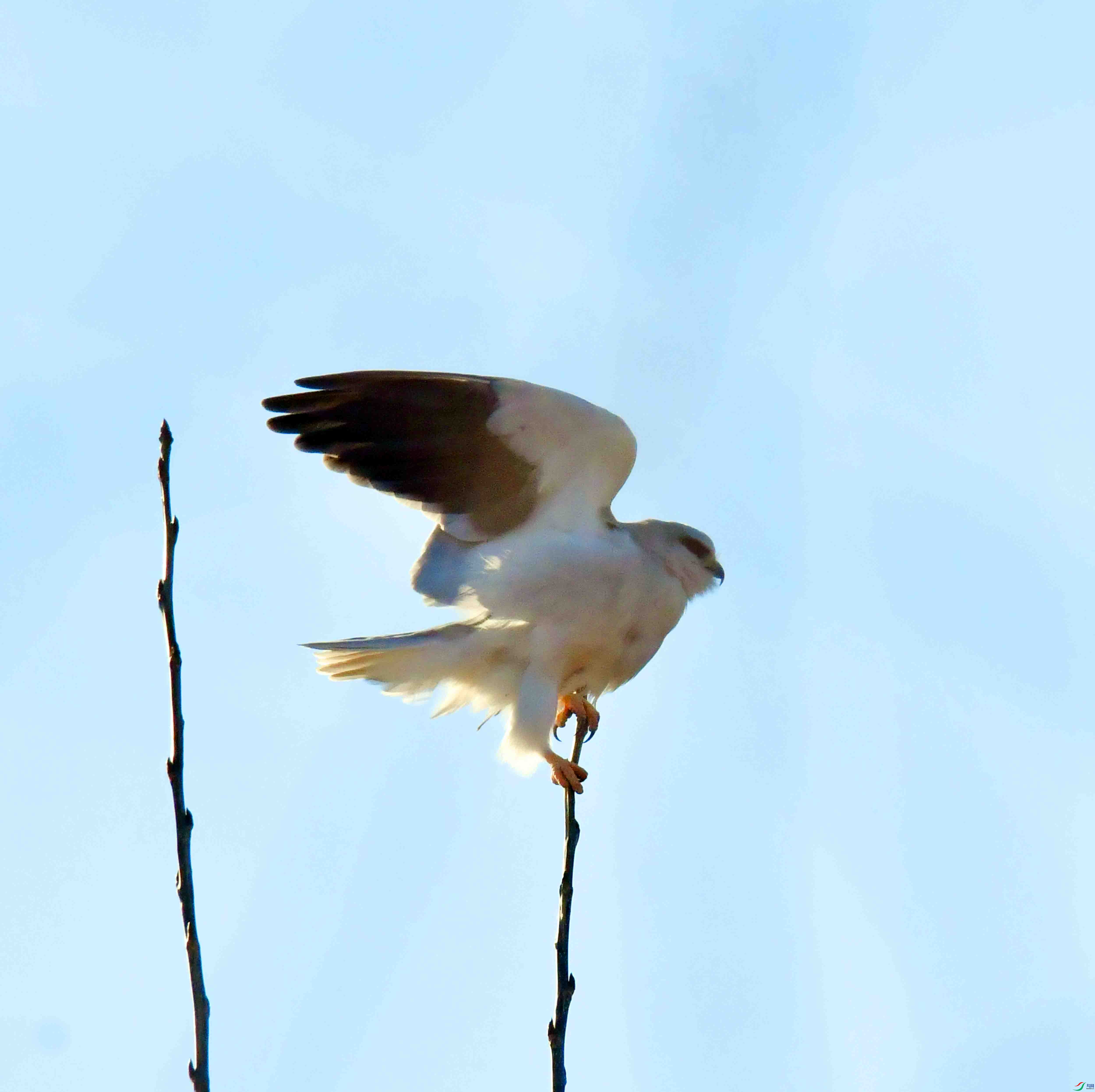 DSC_2949.JPG