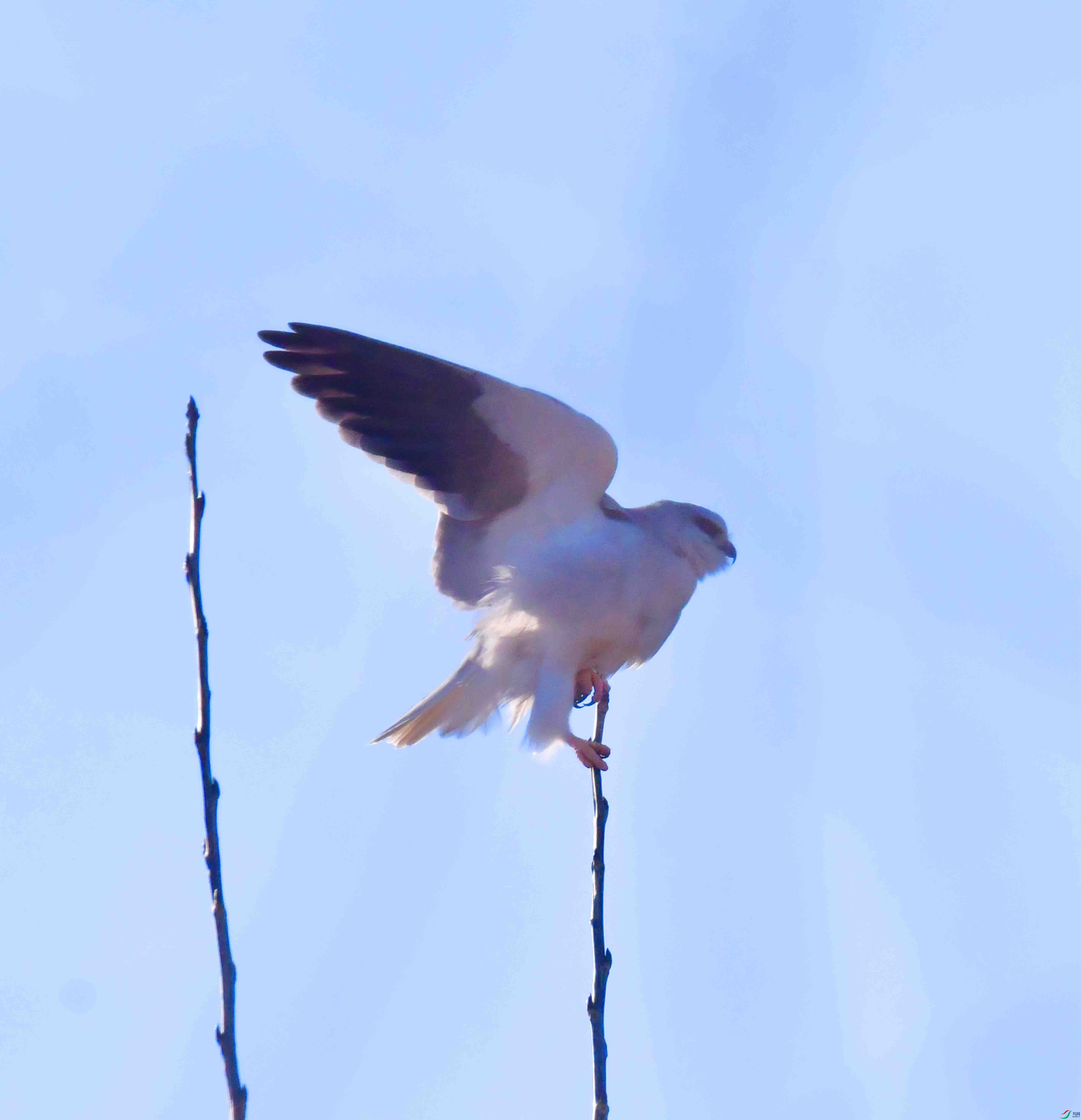 DSC_2950.JPG