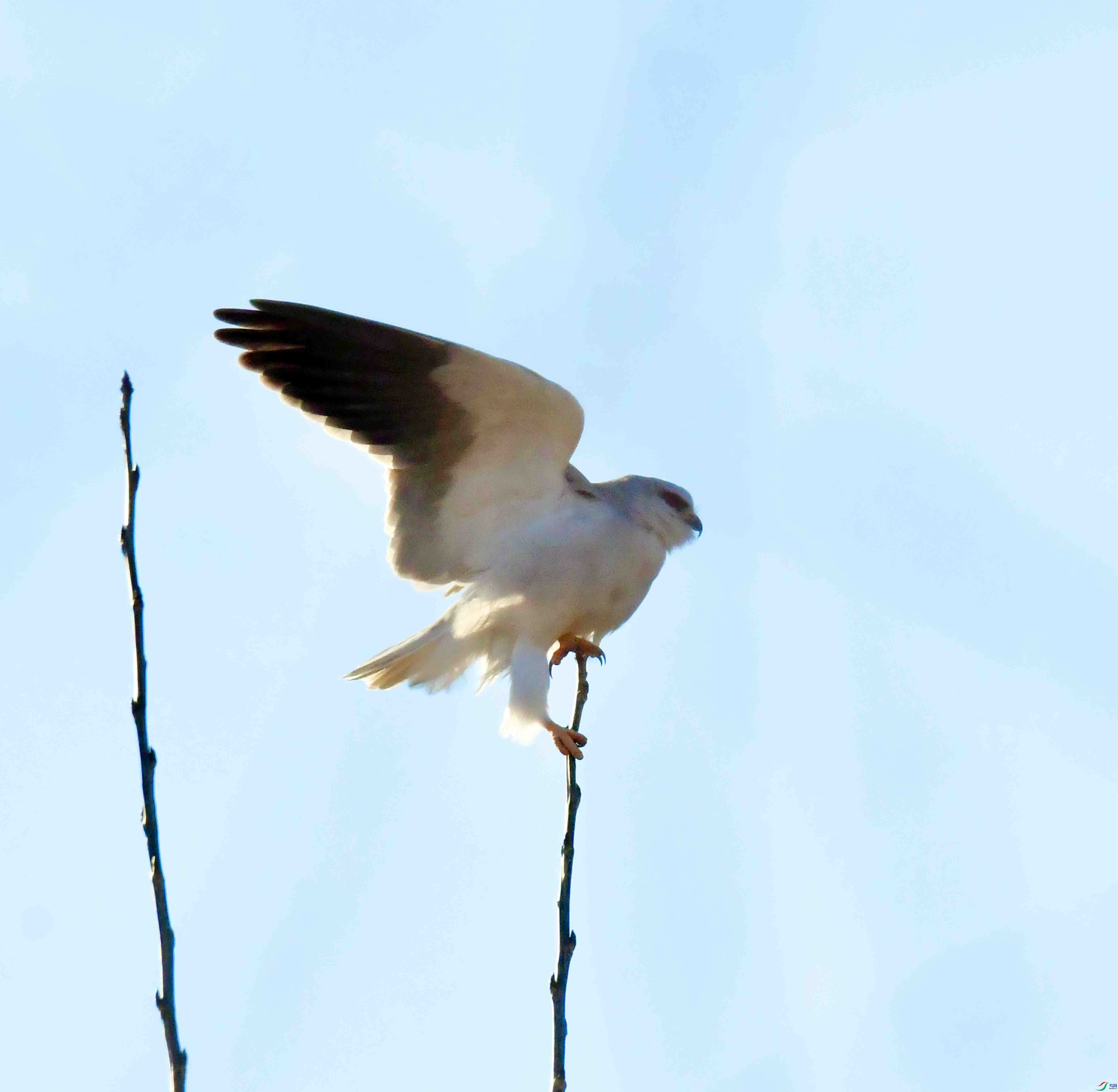 DSC_2951.JPG