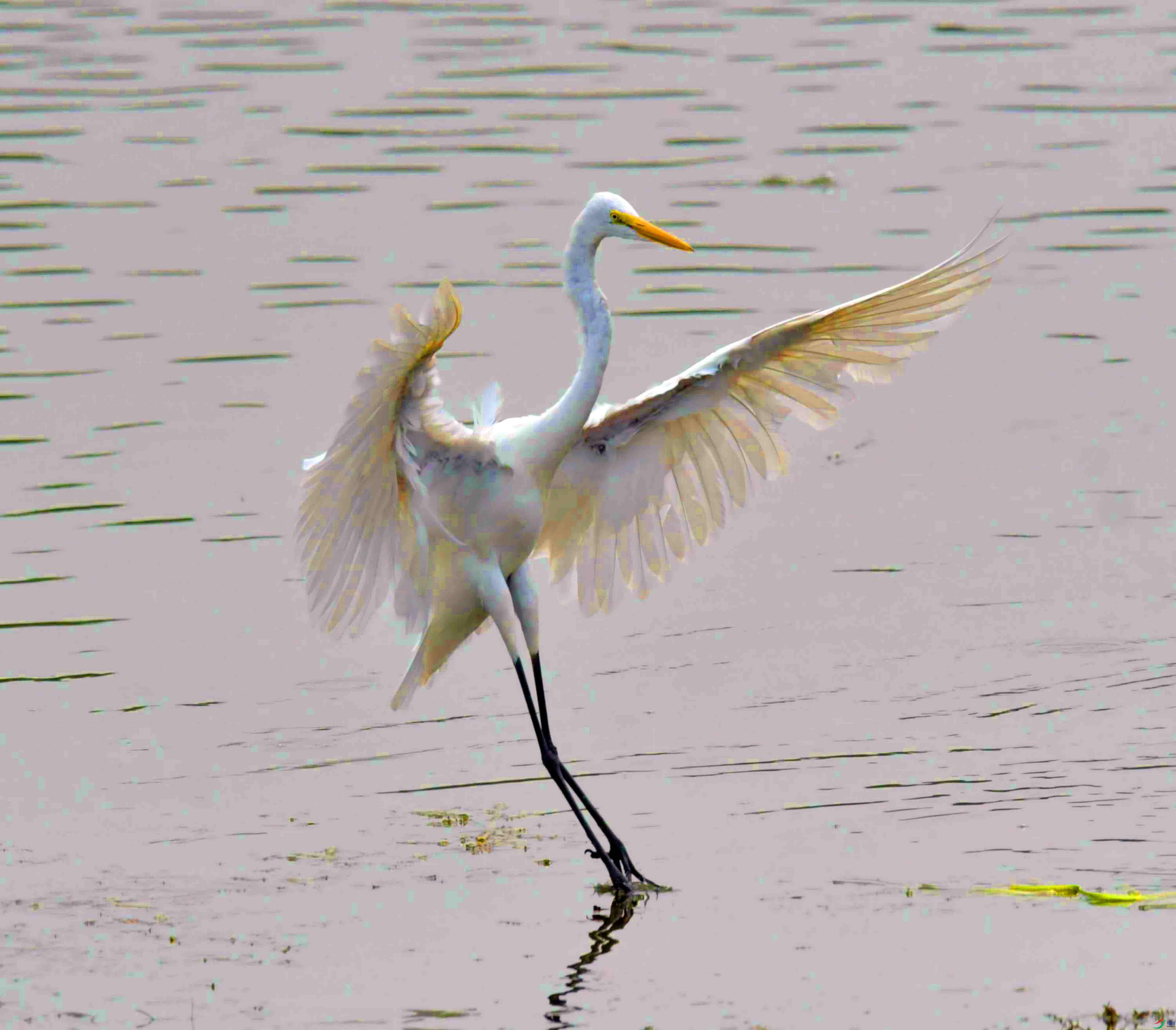DSC_6827.JPG