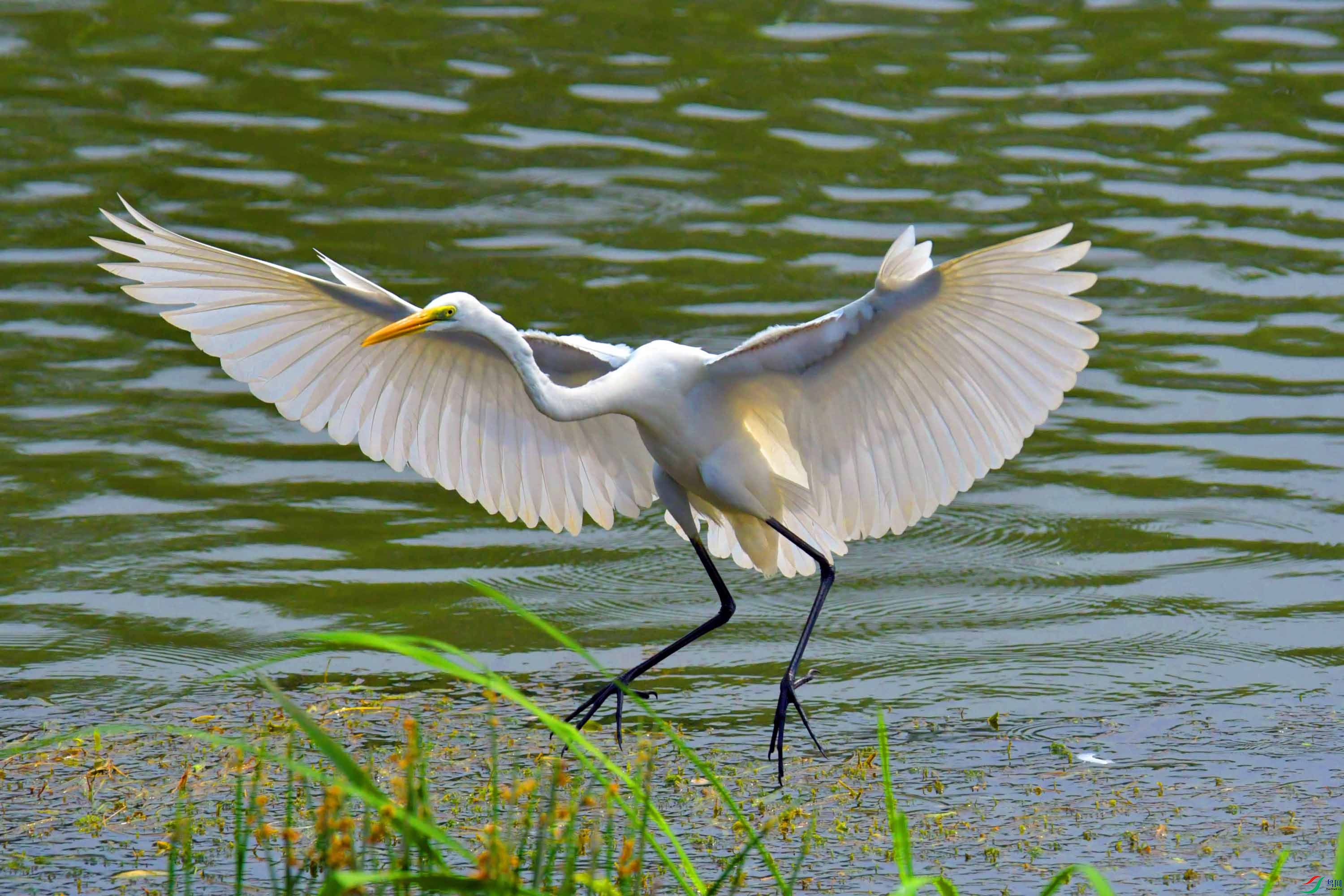 DSC_6939.JPG