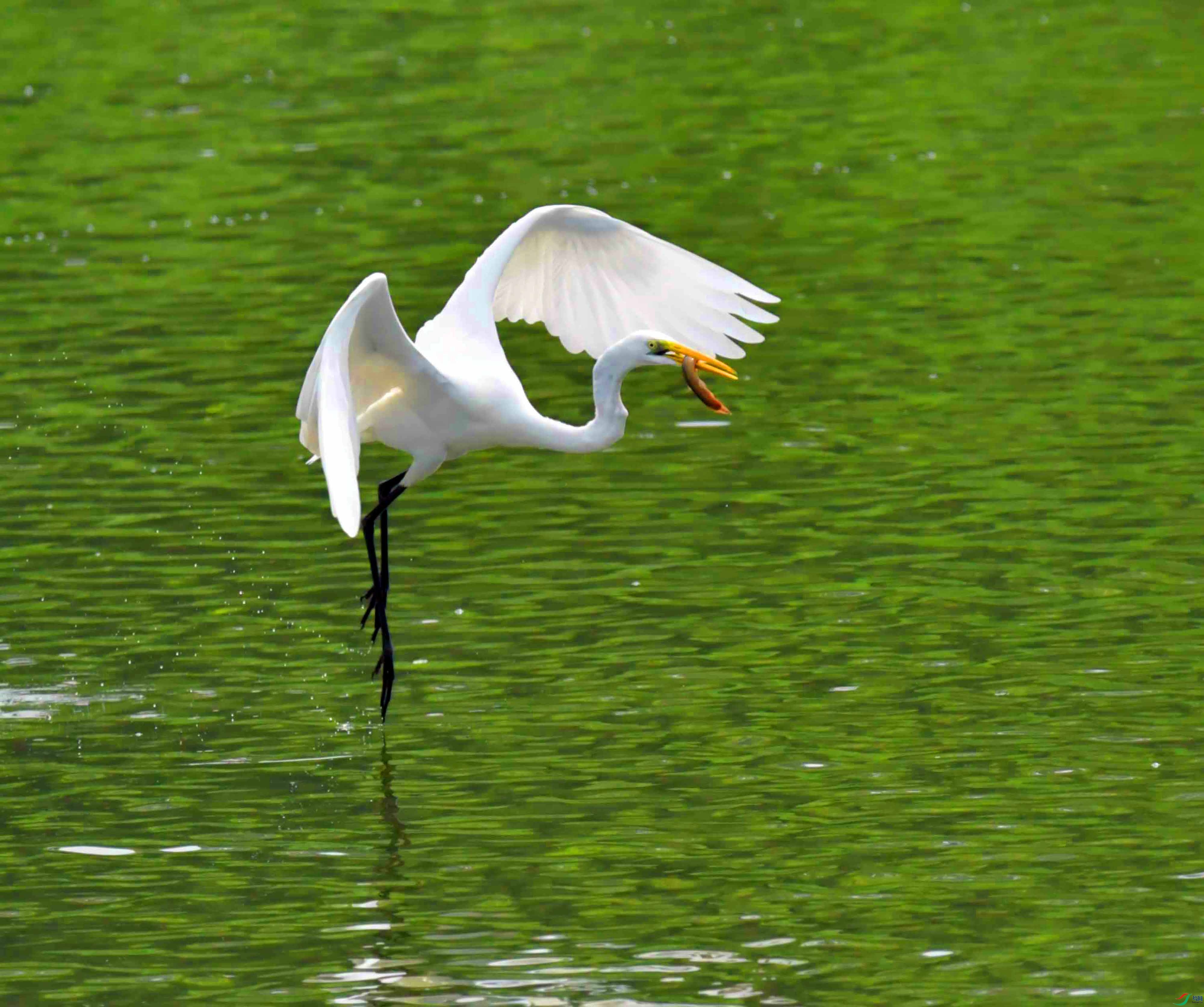DSC_6922.JPG