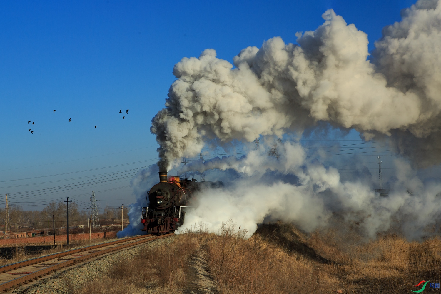 _V4C8519 ����_2.jpg