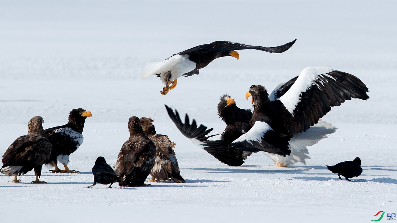 AQ9I7654 ����.jpg