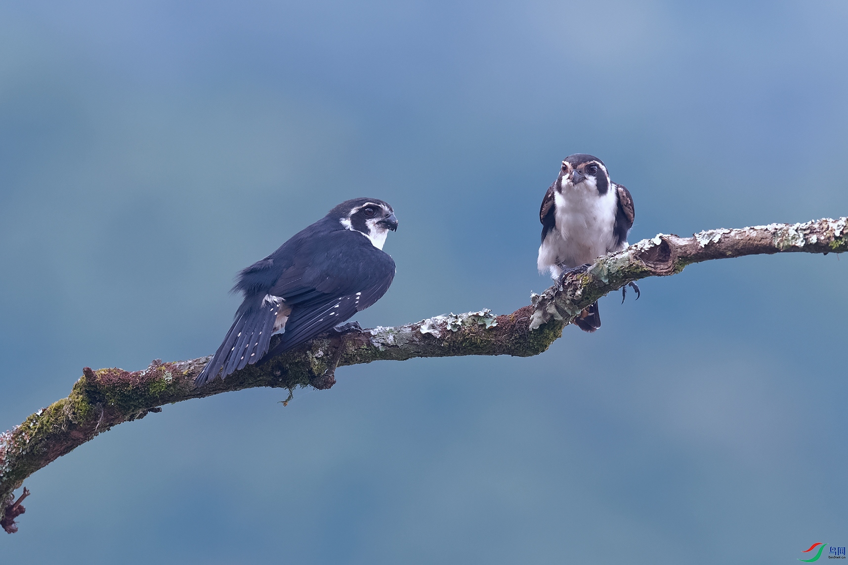 DSC_8847_DxOa.jpg