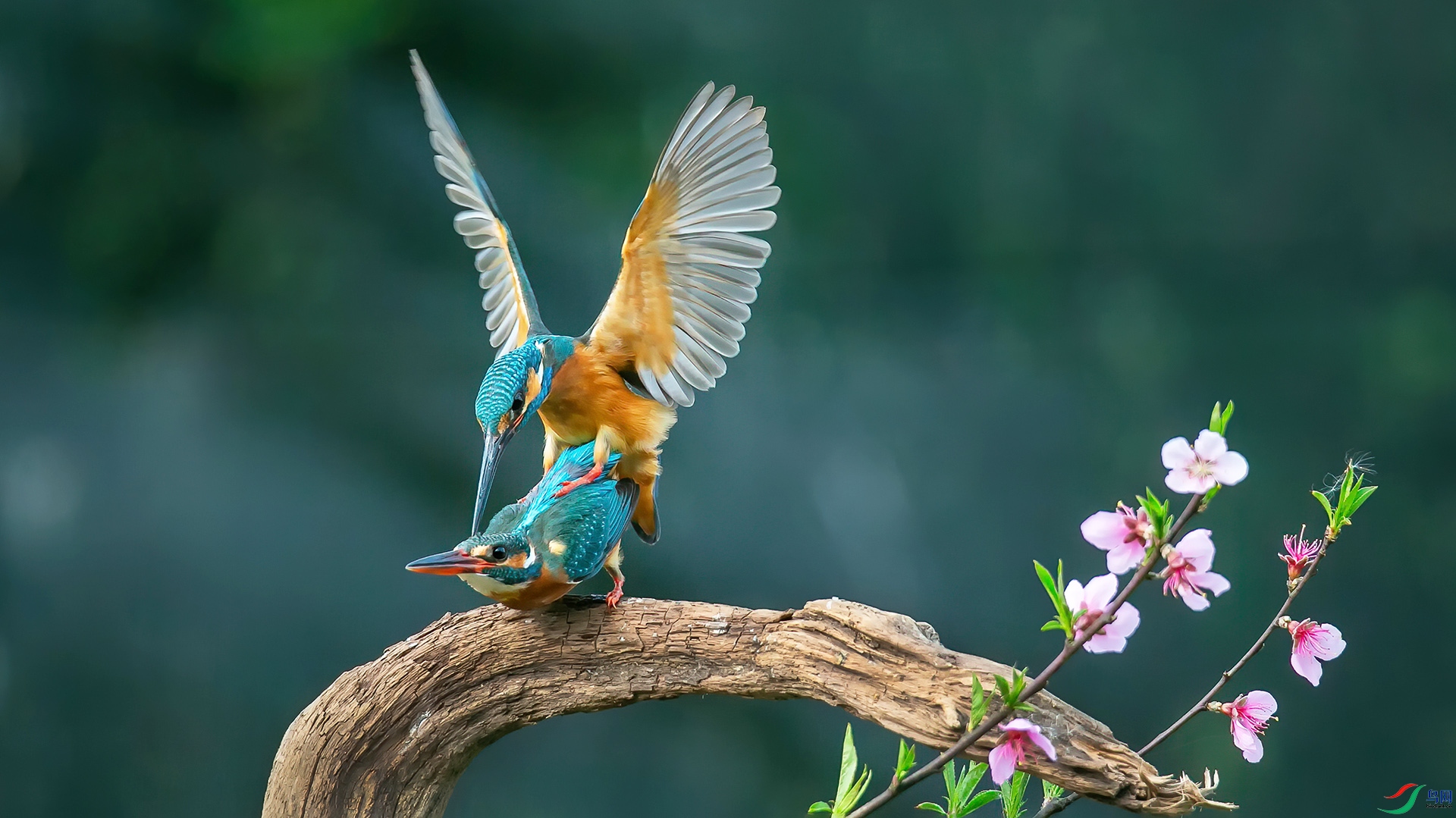 834A8 ����.jpg