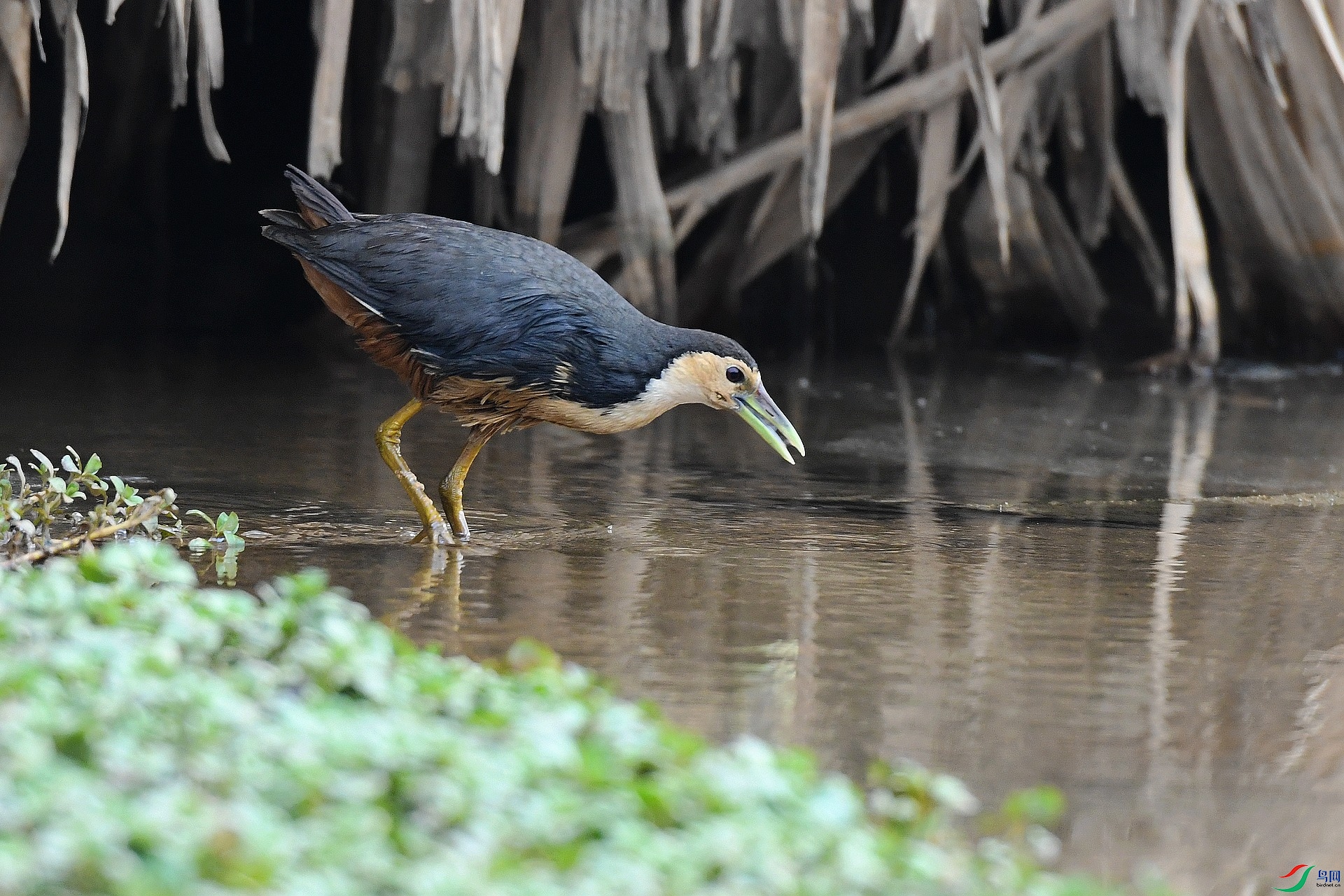 DSC_7076.jpg