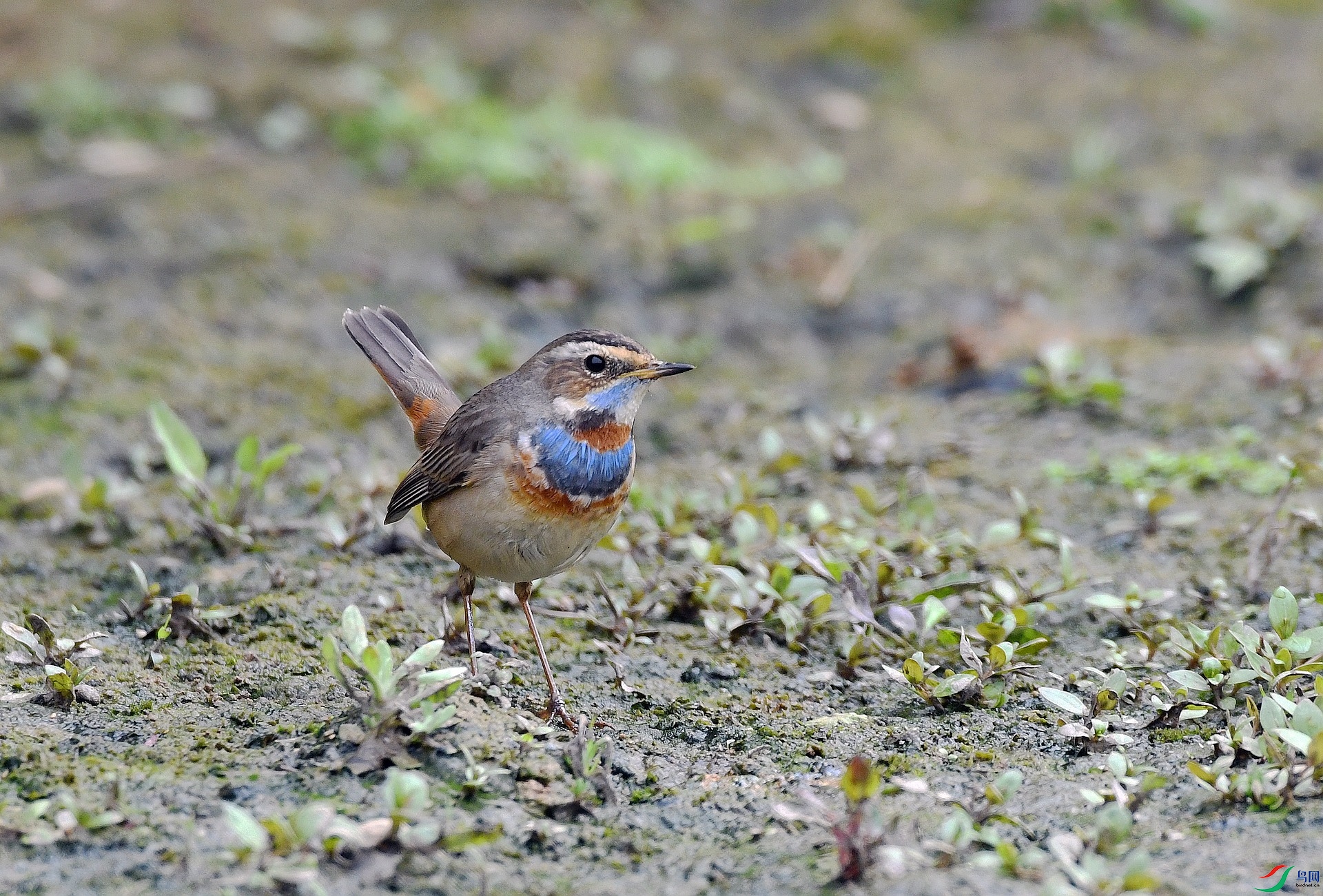 DSC_7635.jpg