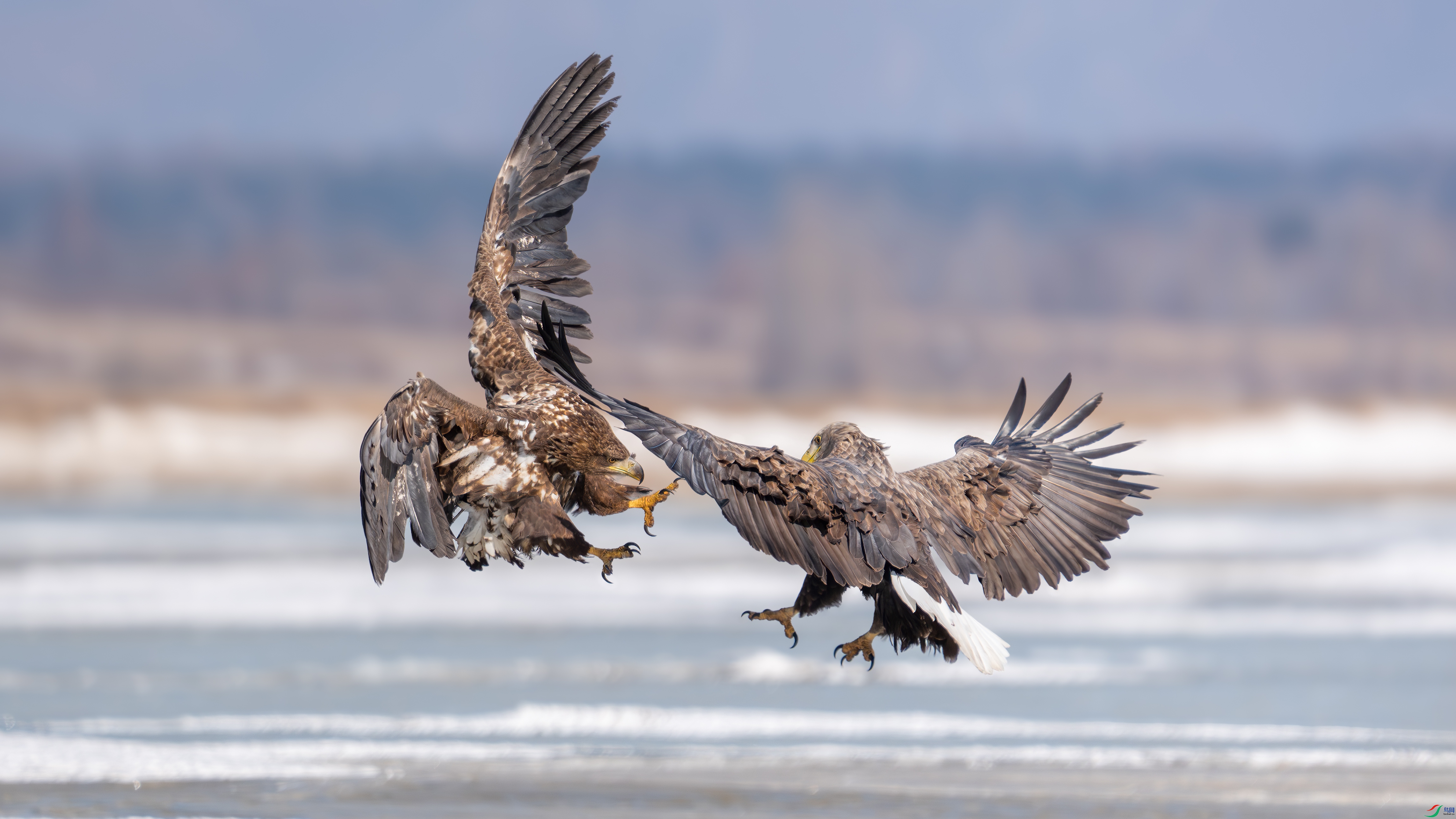 _DSC5794 ����.jpg