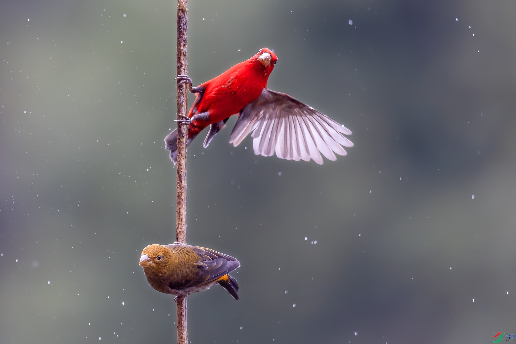 0F7A9995 ����.jpg