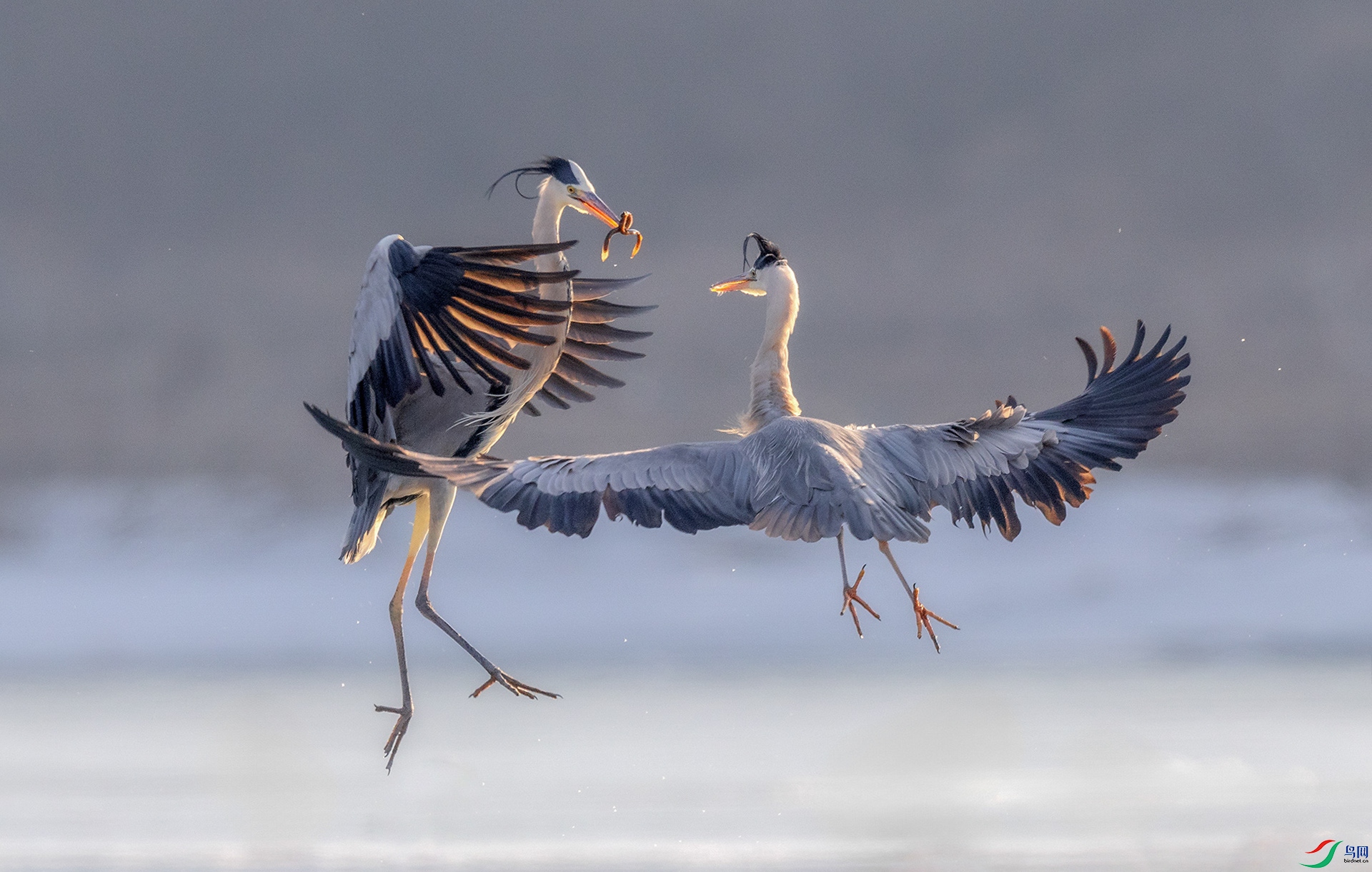 0E8A0562  ���� 03.jpg