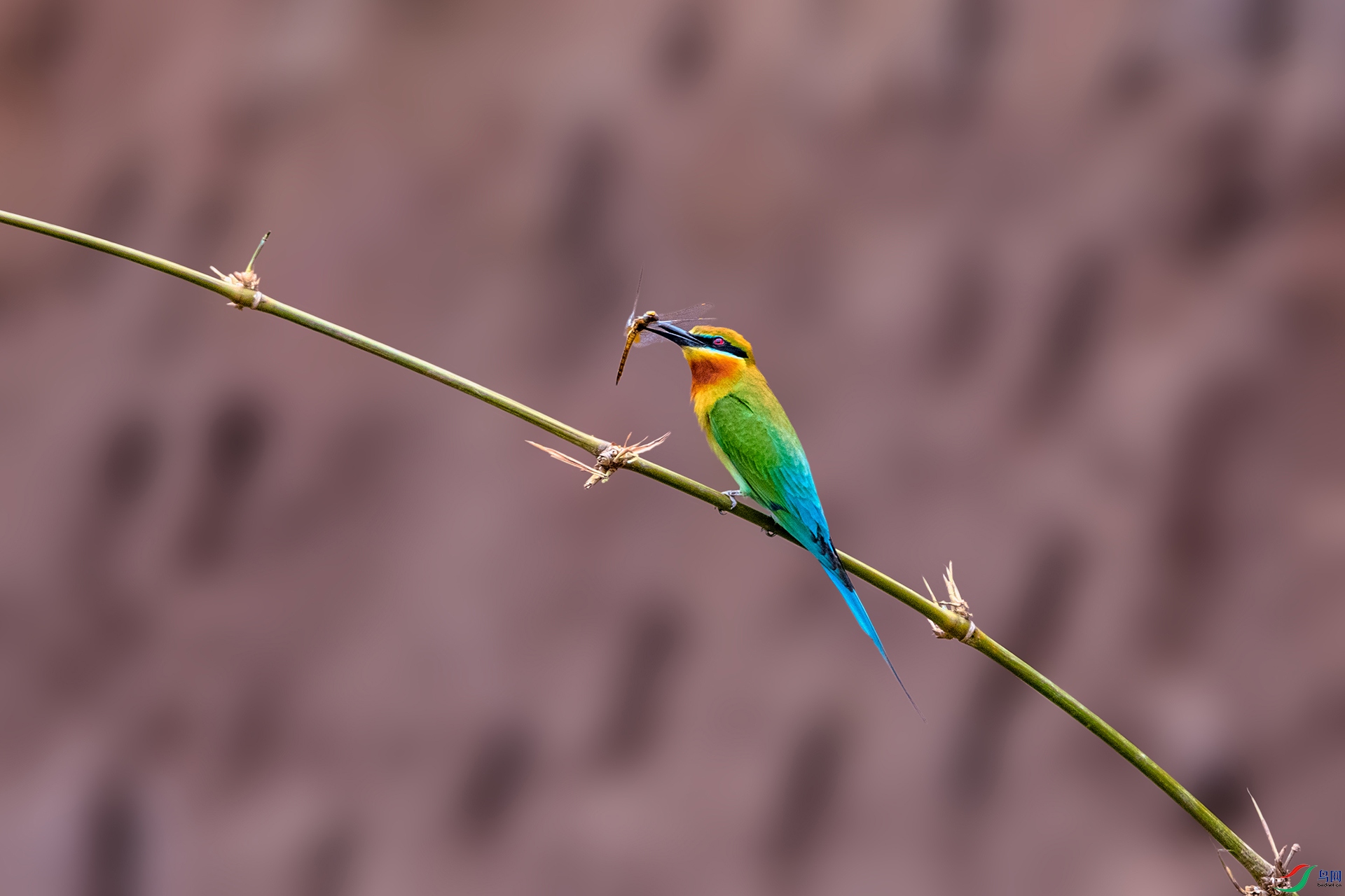 _AUU4165 ��������(25.5.11).jpg