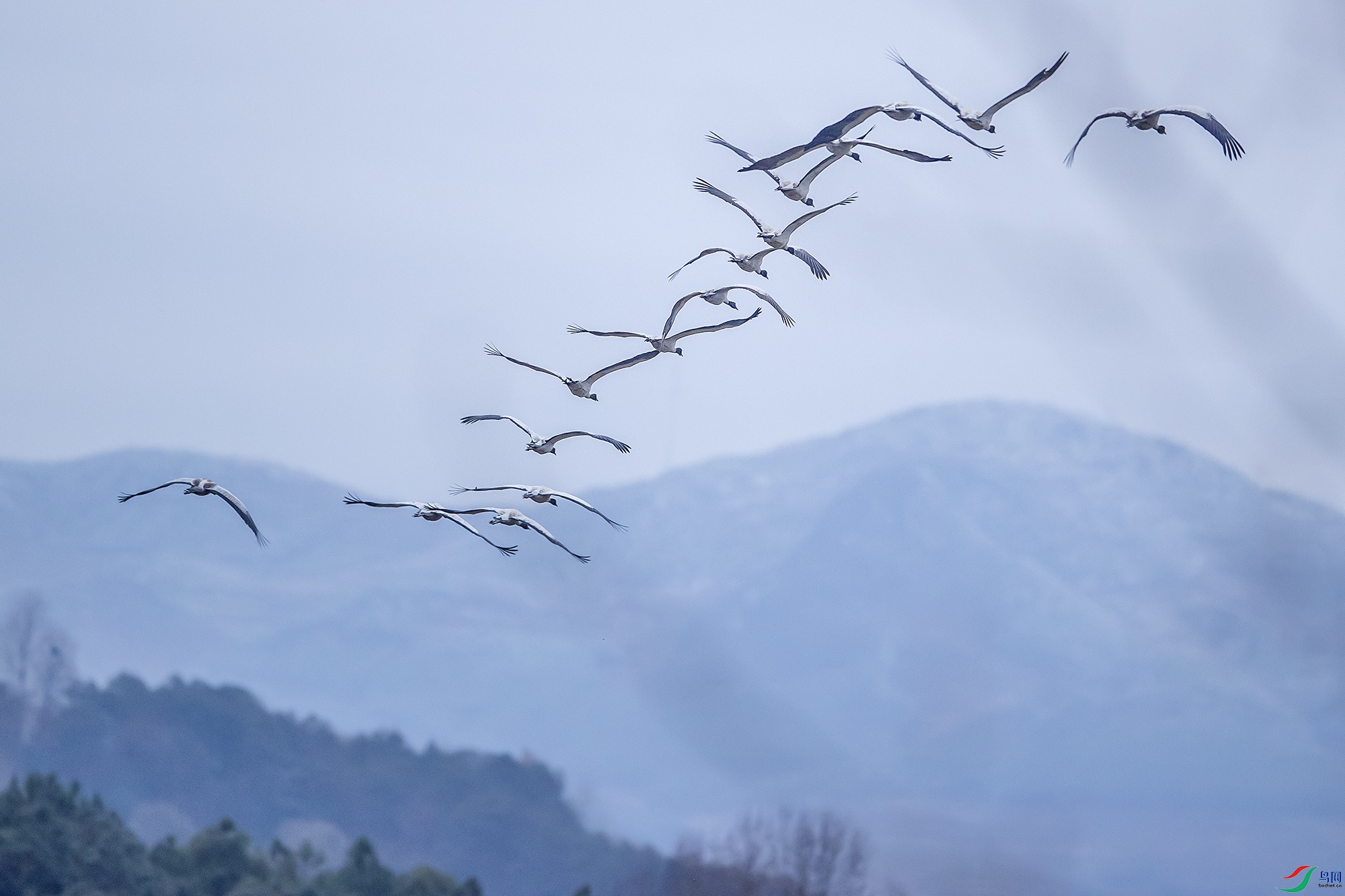 BC9I1815 ����.jpg