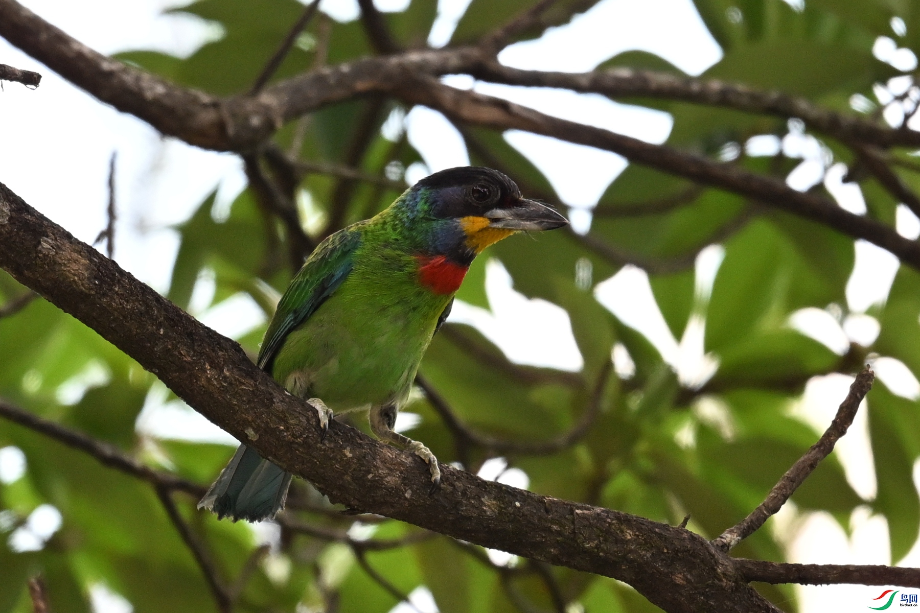 DSC_1740.JPG