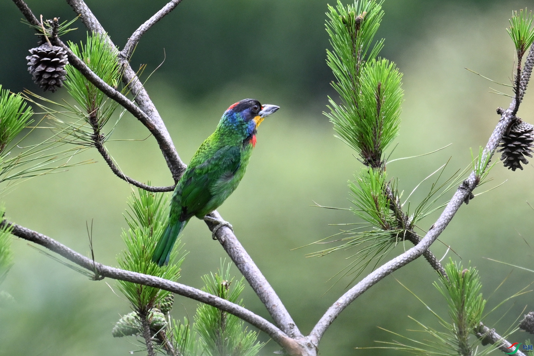 DSC_1690.JPG