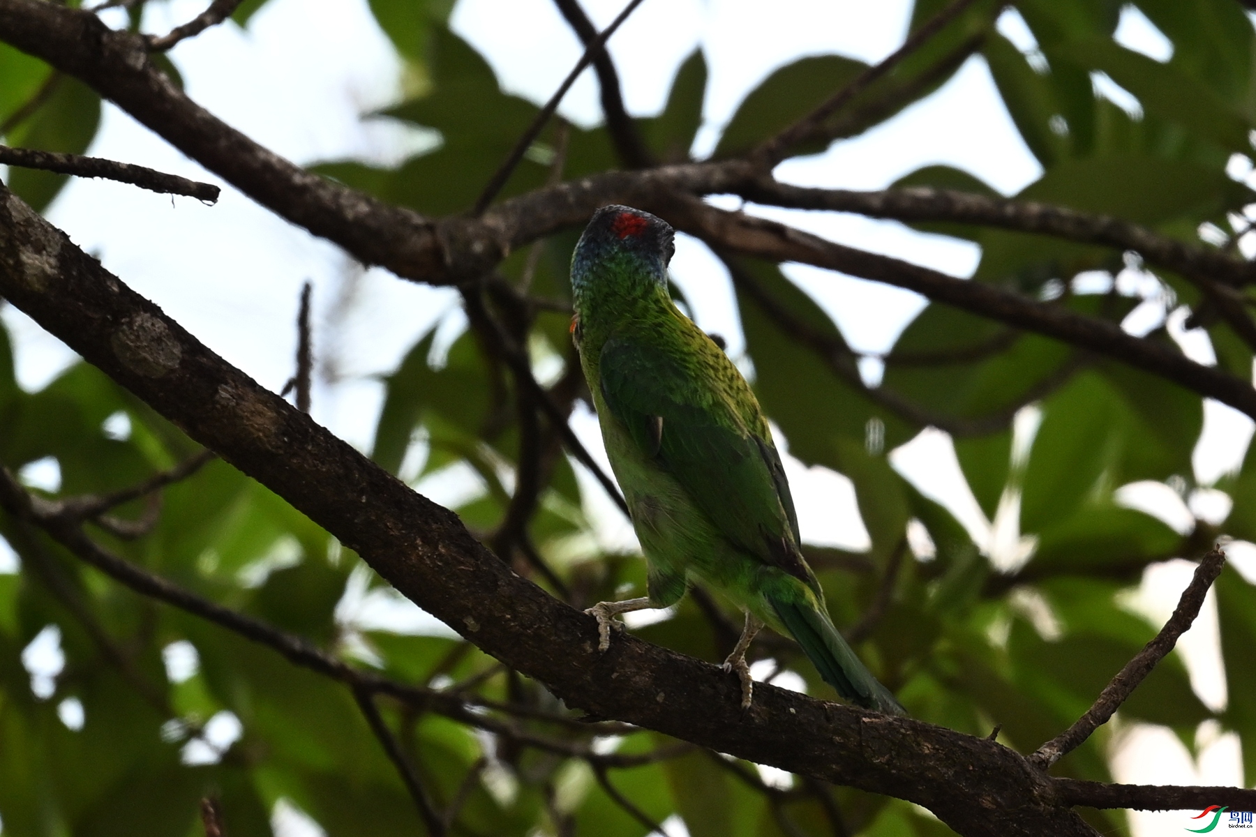 DSC_1742.JPG