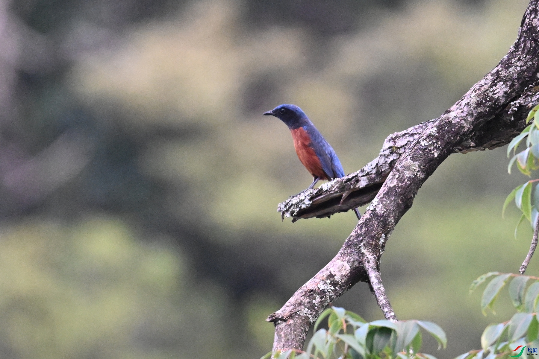 DSC_1807.JPG