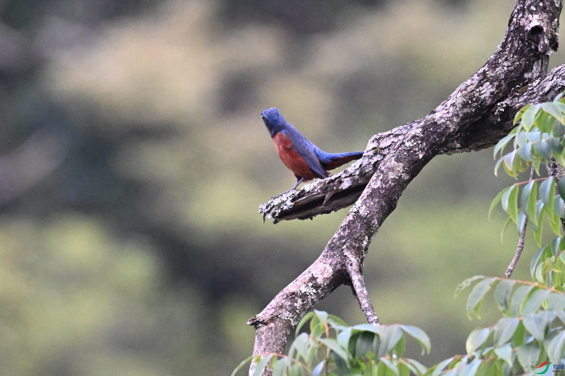 DSC_1814.JPG