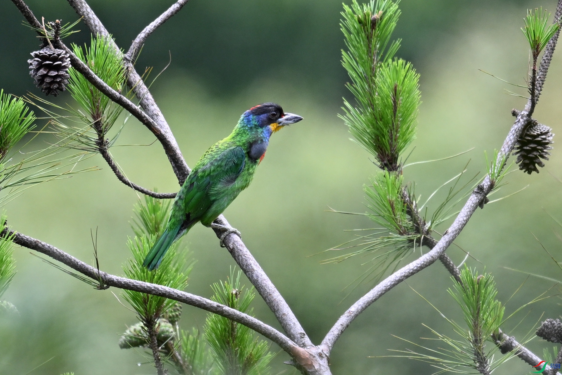 DSC_1697.JPG