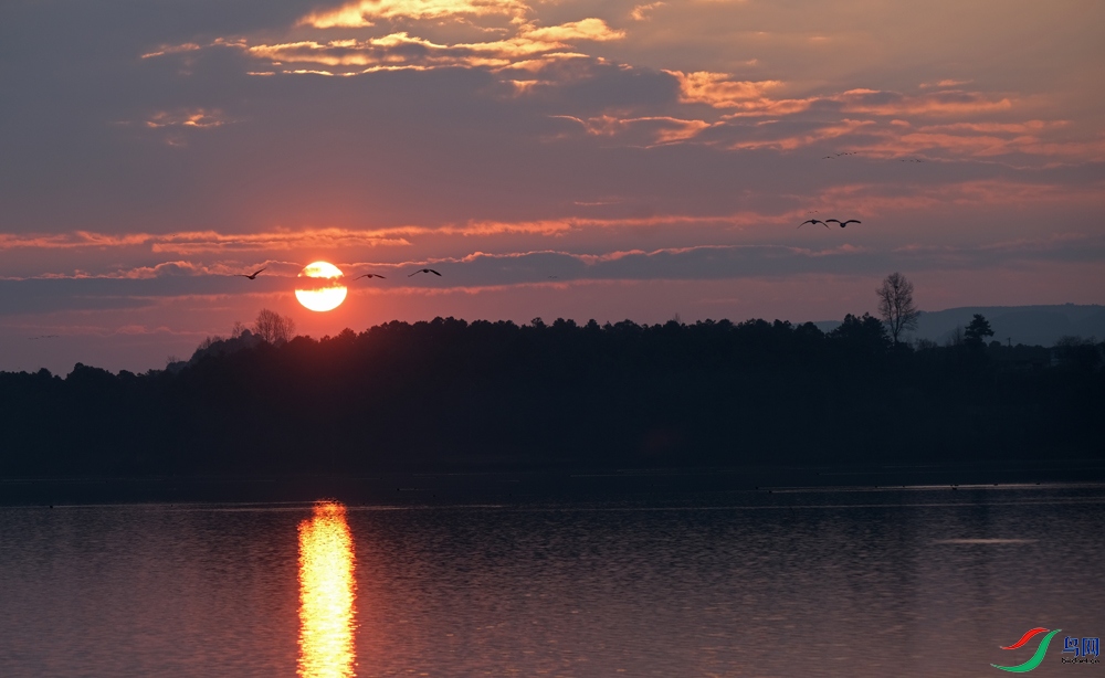 DSCF2391.1.jpg